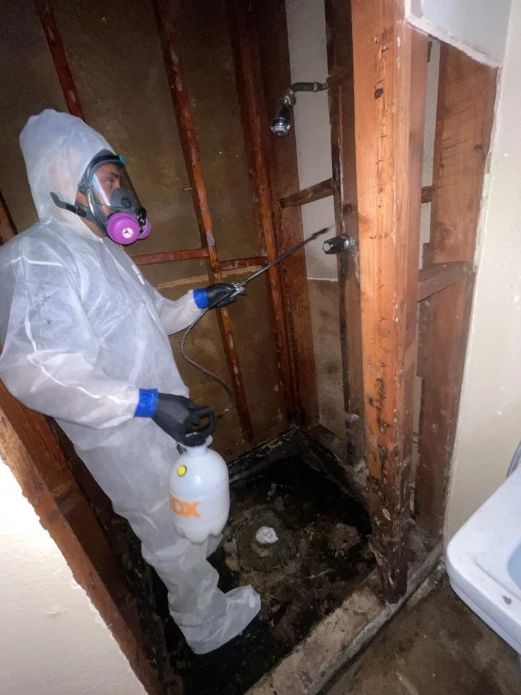 mold2.jpg