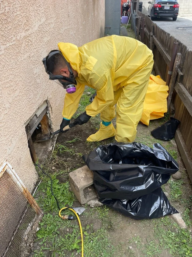 crawlspace7.jpg