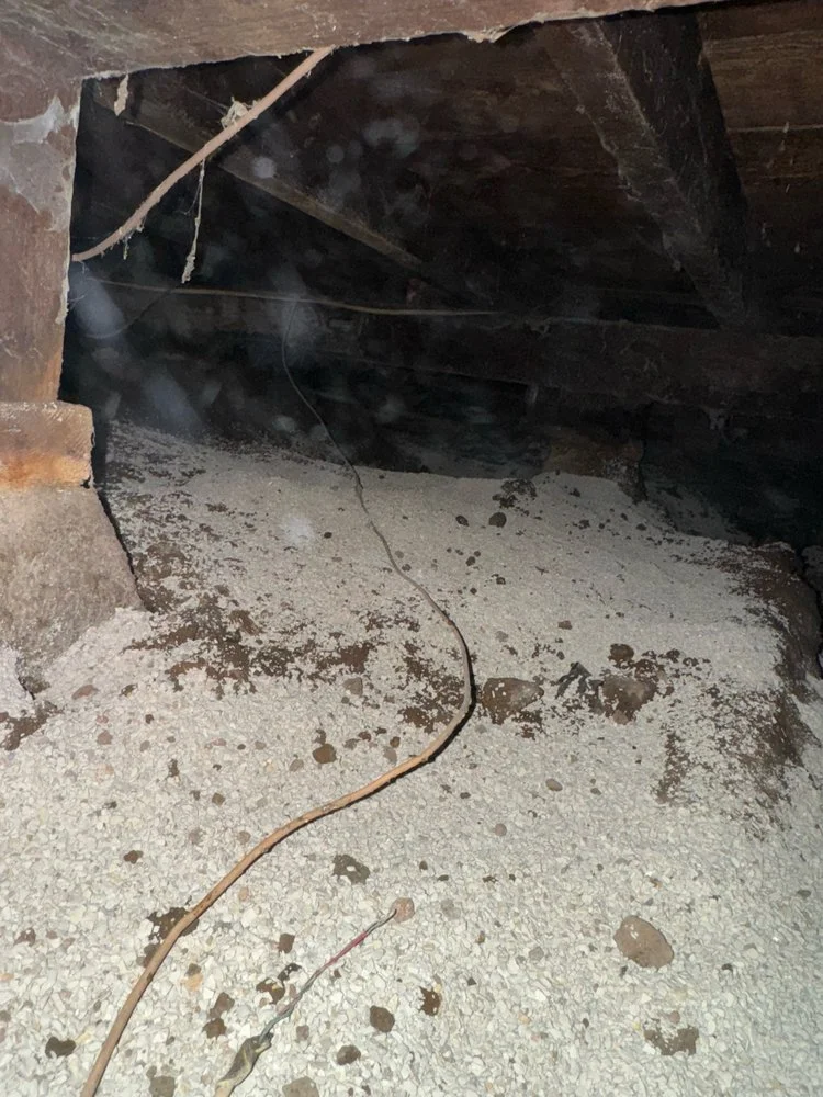 crawlspace2.jpg