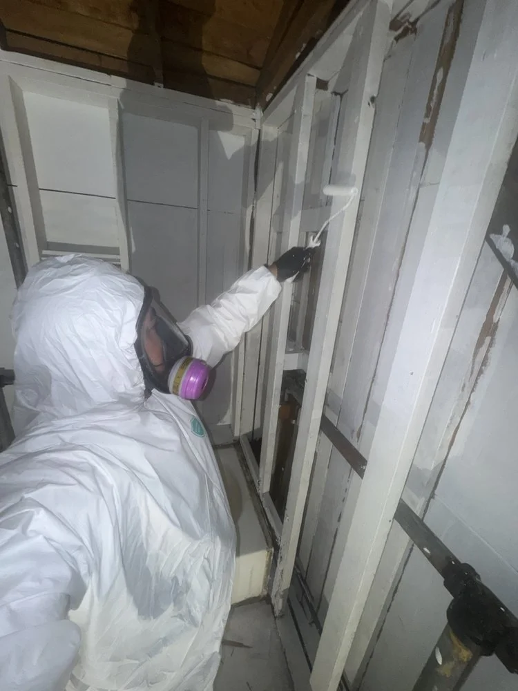 mold6.jpg