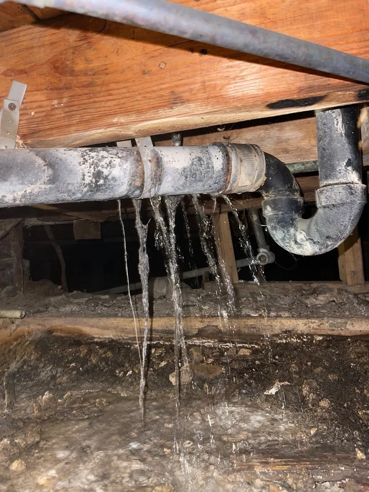 crawlspace8.jpg