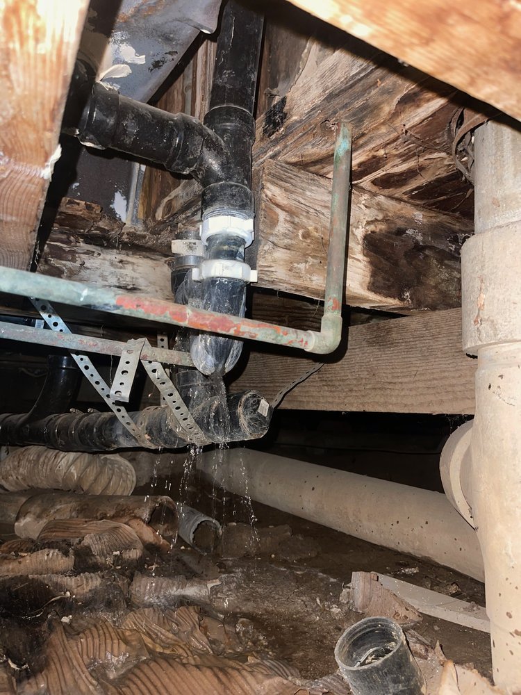 crawlspace4.jpg