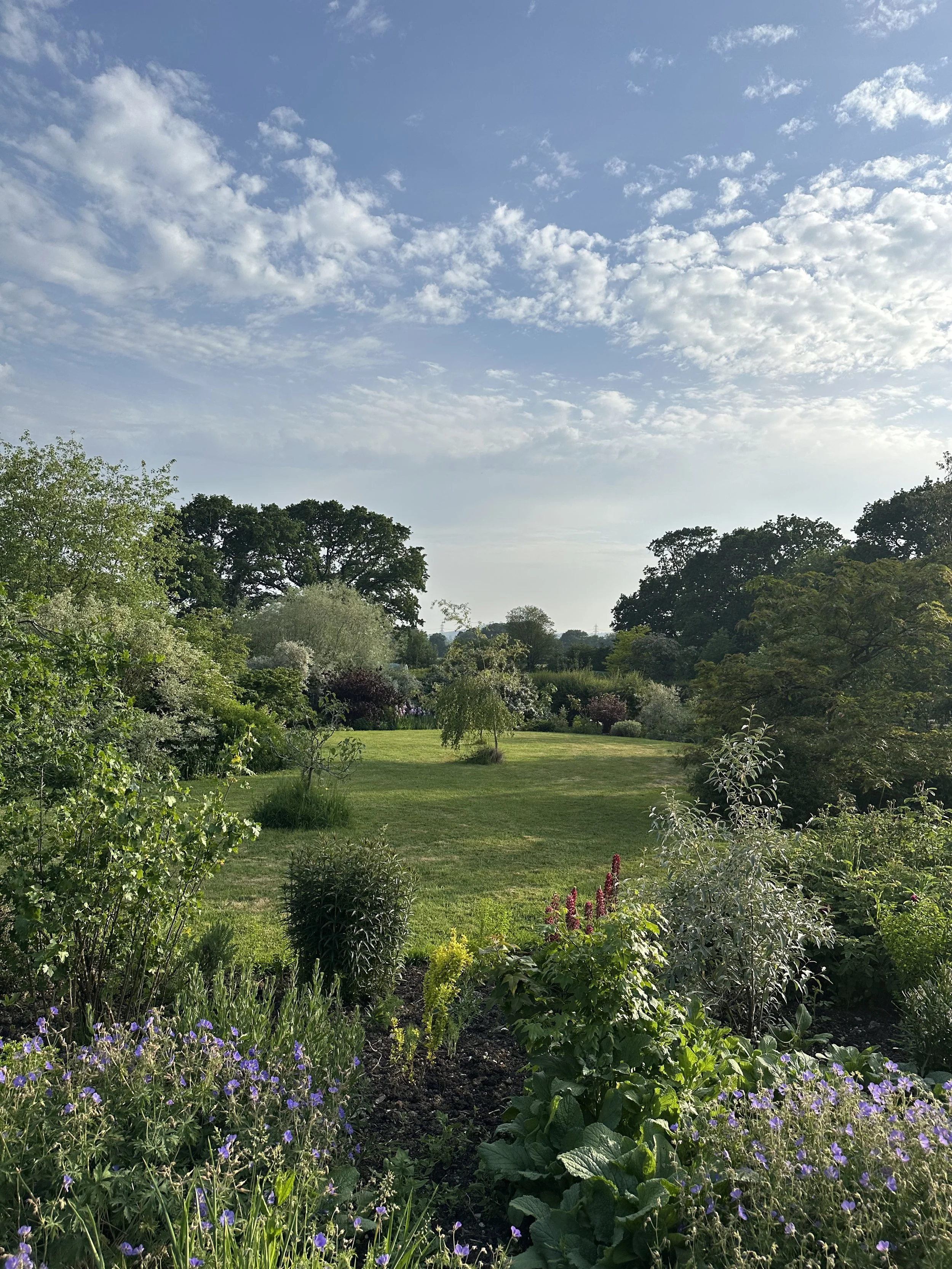 A lush garden with various plants and flowers, green trees in the background, blue sky with scattered clouds above.