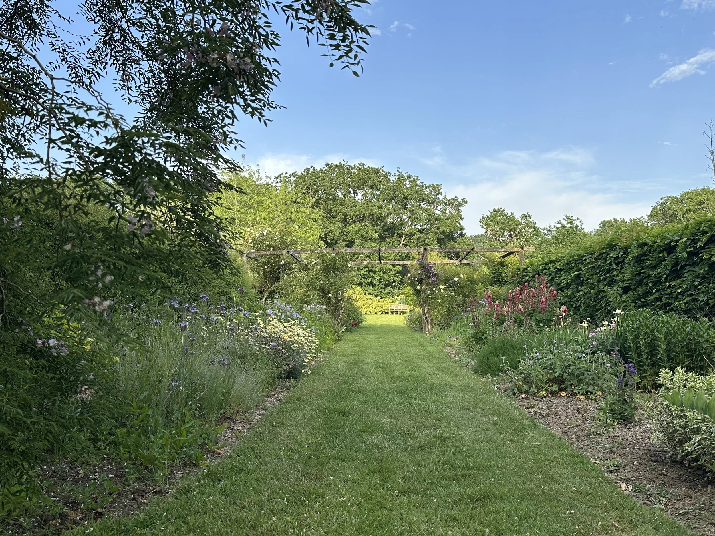 Pathway through country garden