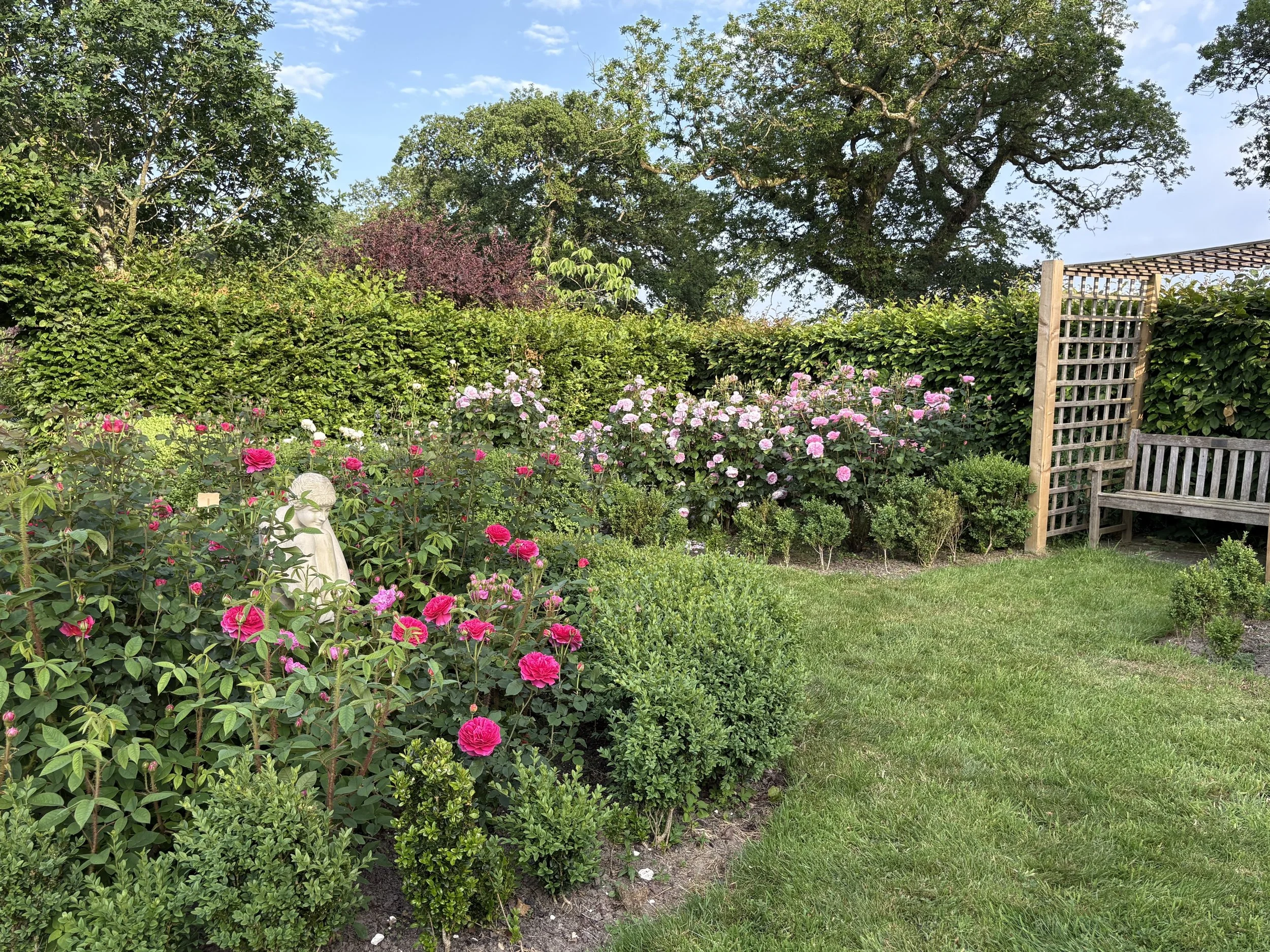 A garden scene with a variety of pink and white roses, green bushes, tall trees, and a wooden bench on the right side. A small statue is among the roses in the lower left corner.