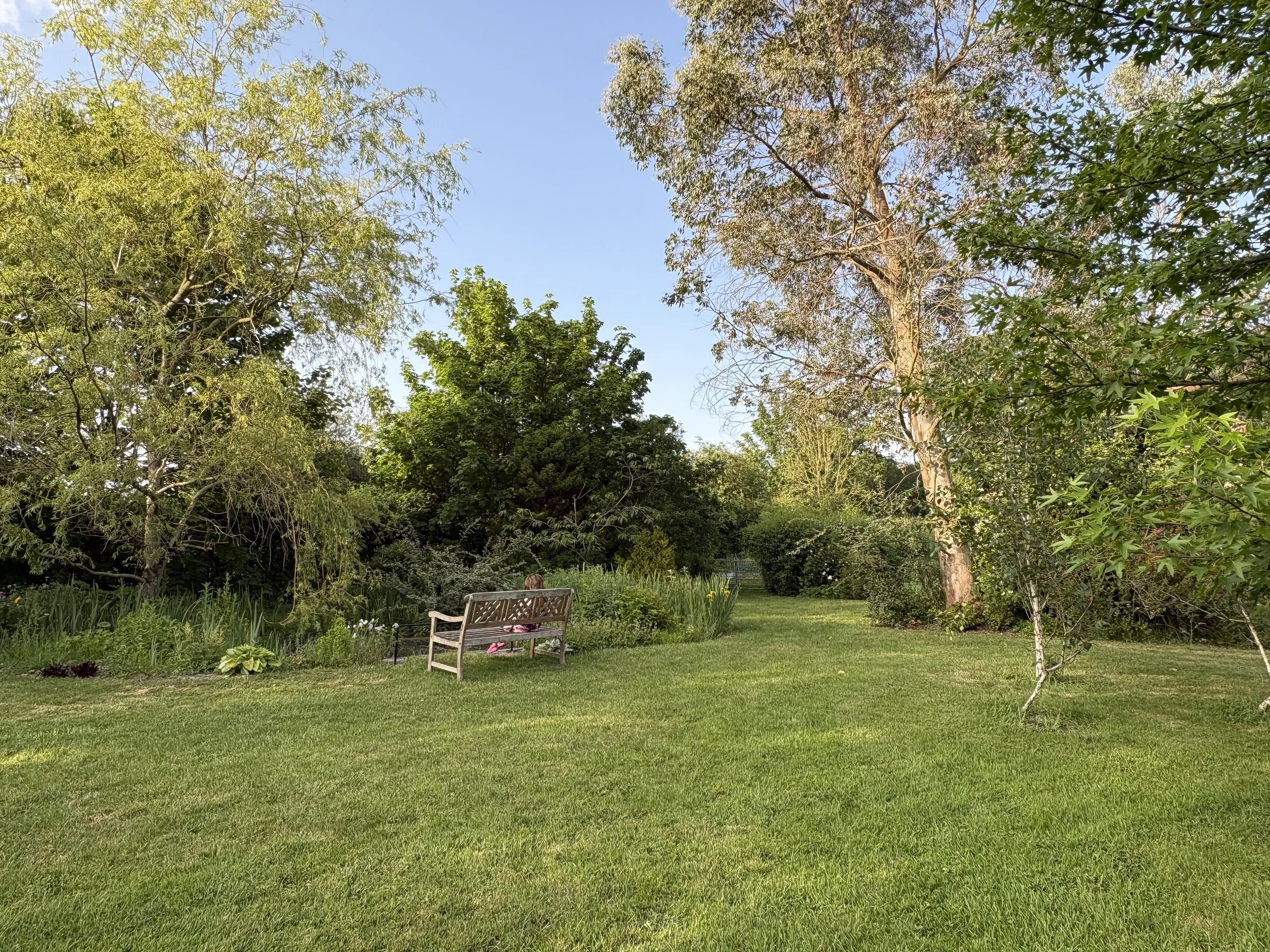 Garden bench by pond