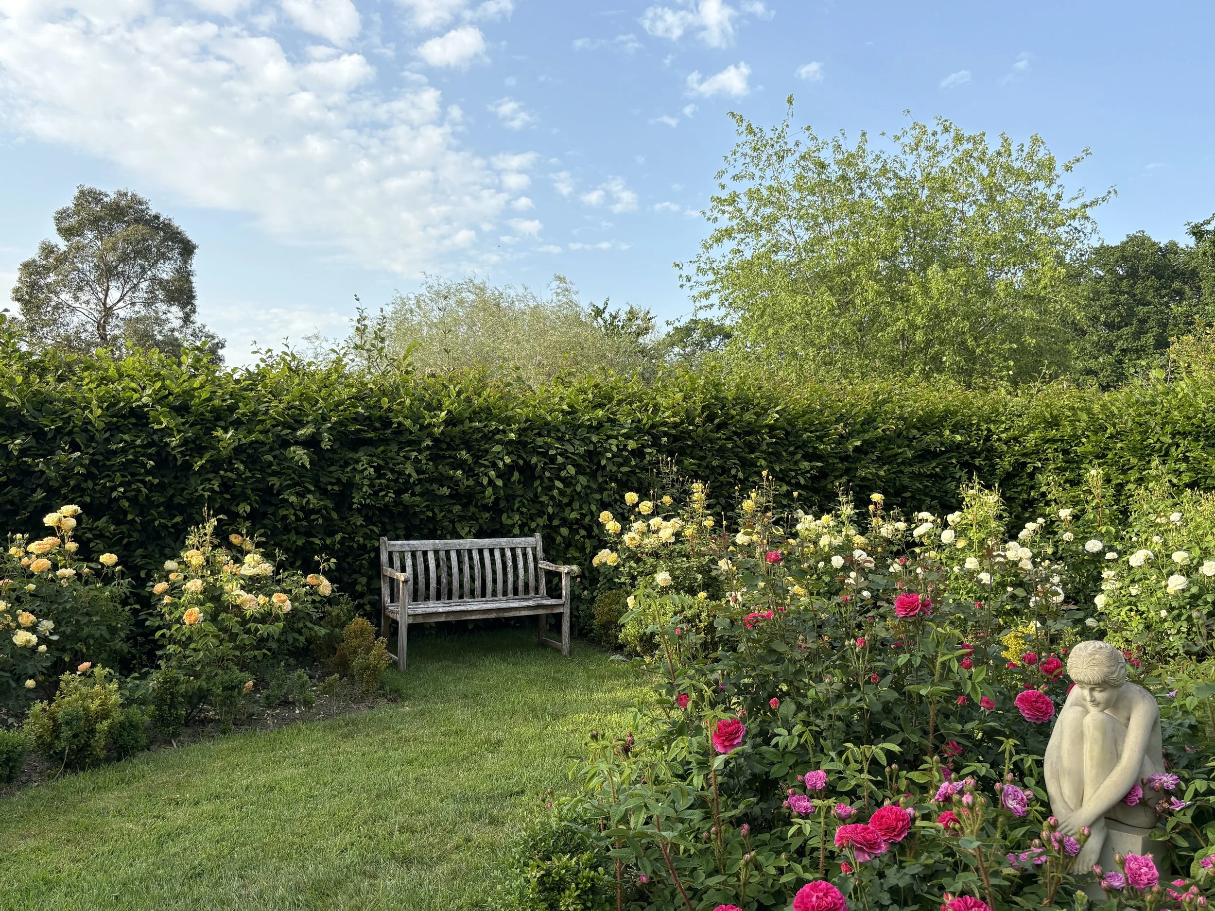 Bench to relax in garden