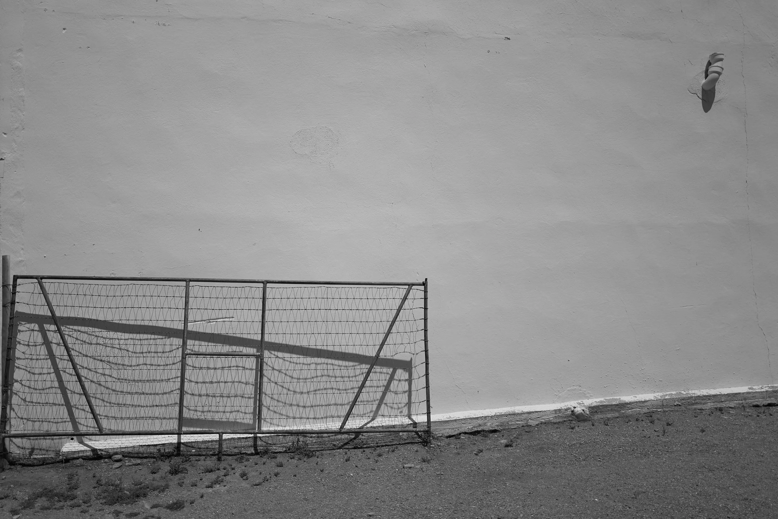 230506_L1008132.JPG