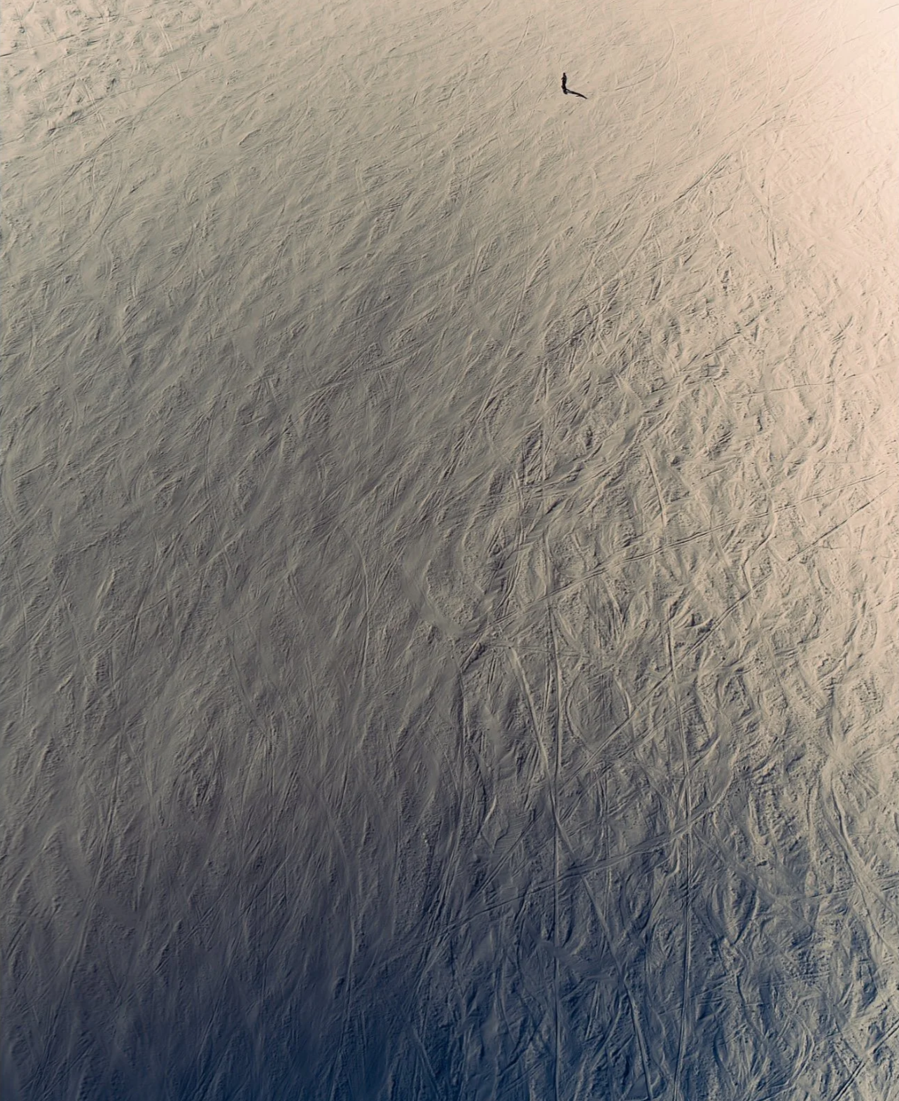 ISIMG-754080+2.png