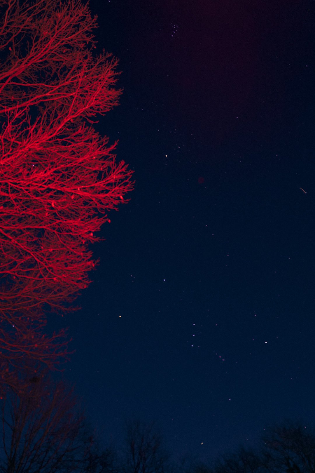 211222_L1050941.JPG