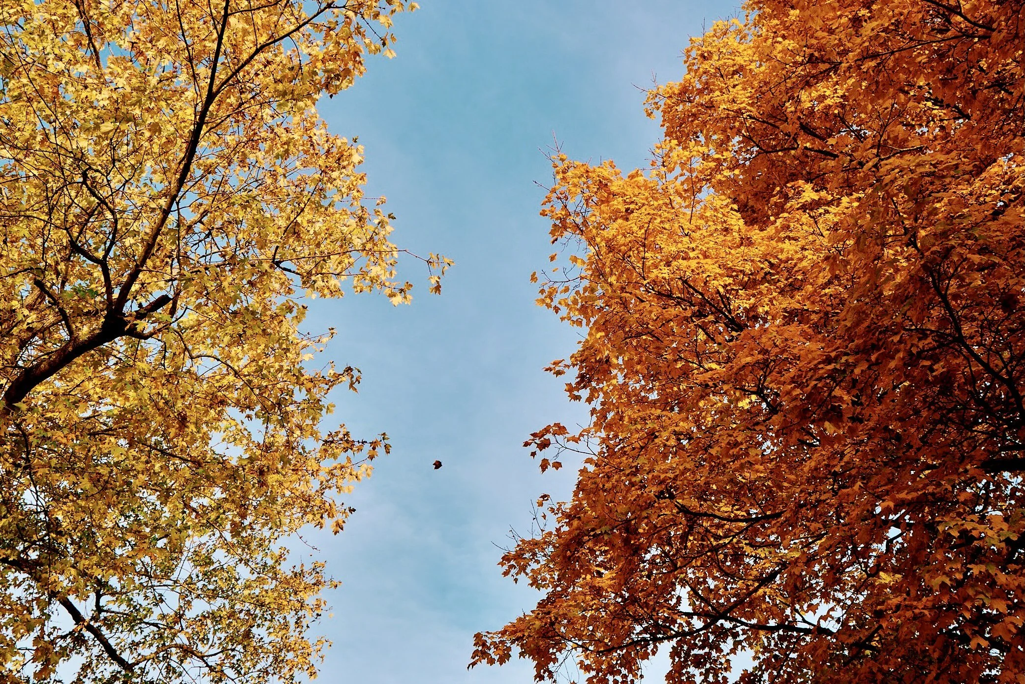 211110__0014.jpg
