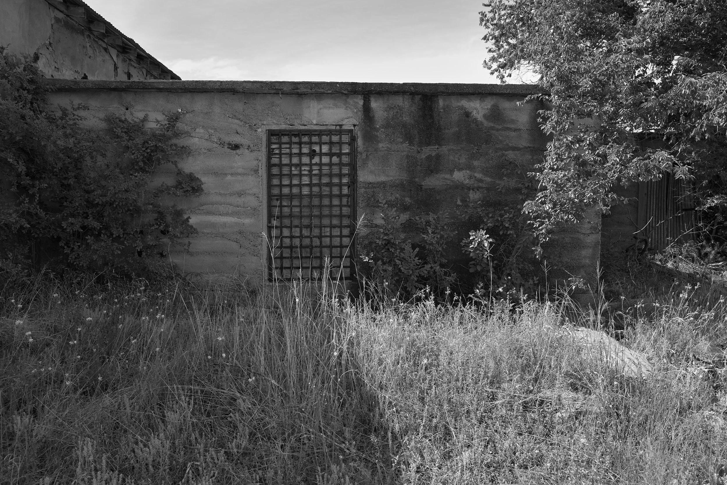 230507_L1008372 1.JPG