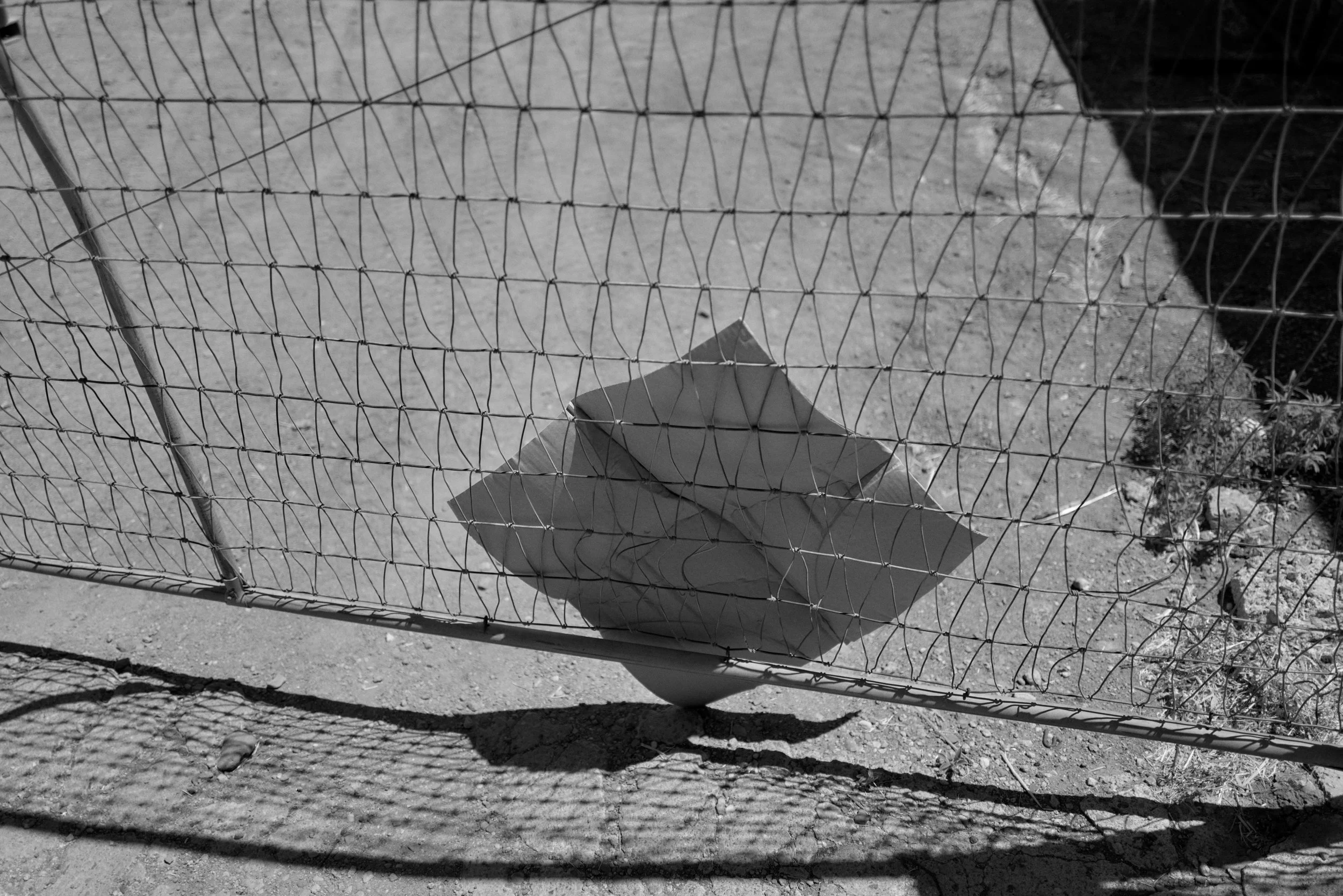 230506_L1008138 1.JPG