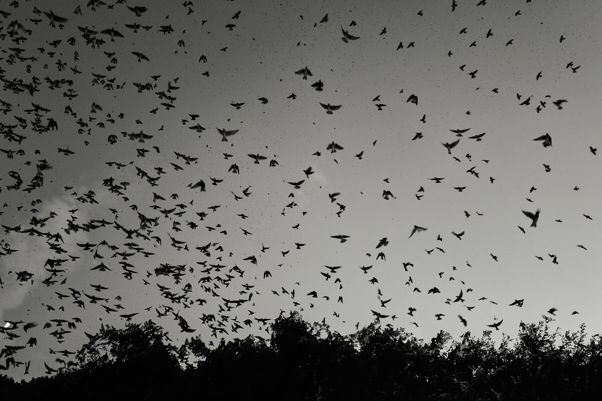 210814_1623.JPG