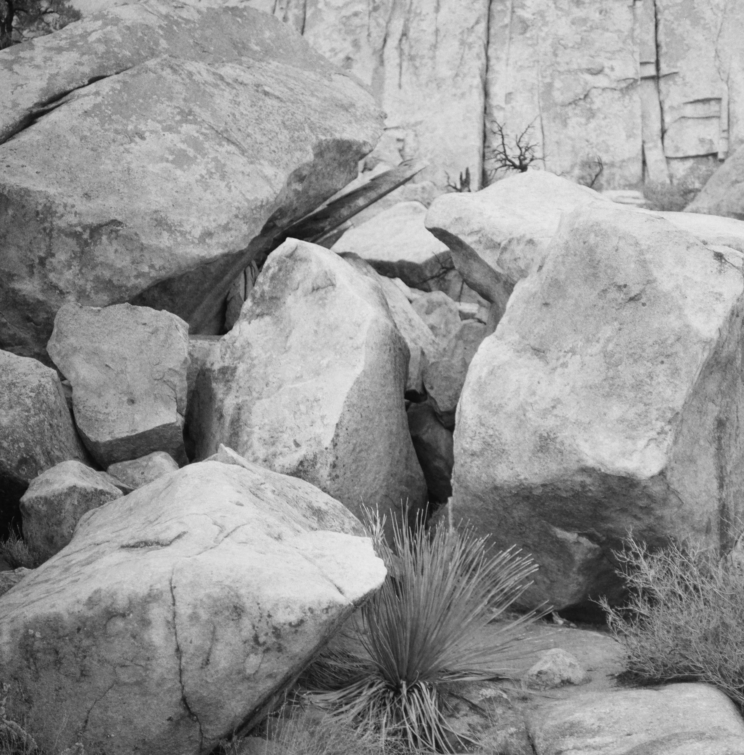 2142_0013.JPG