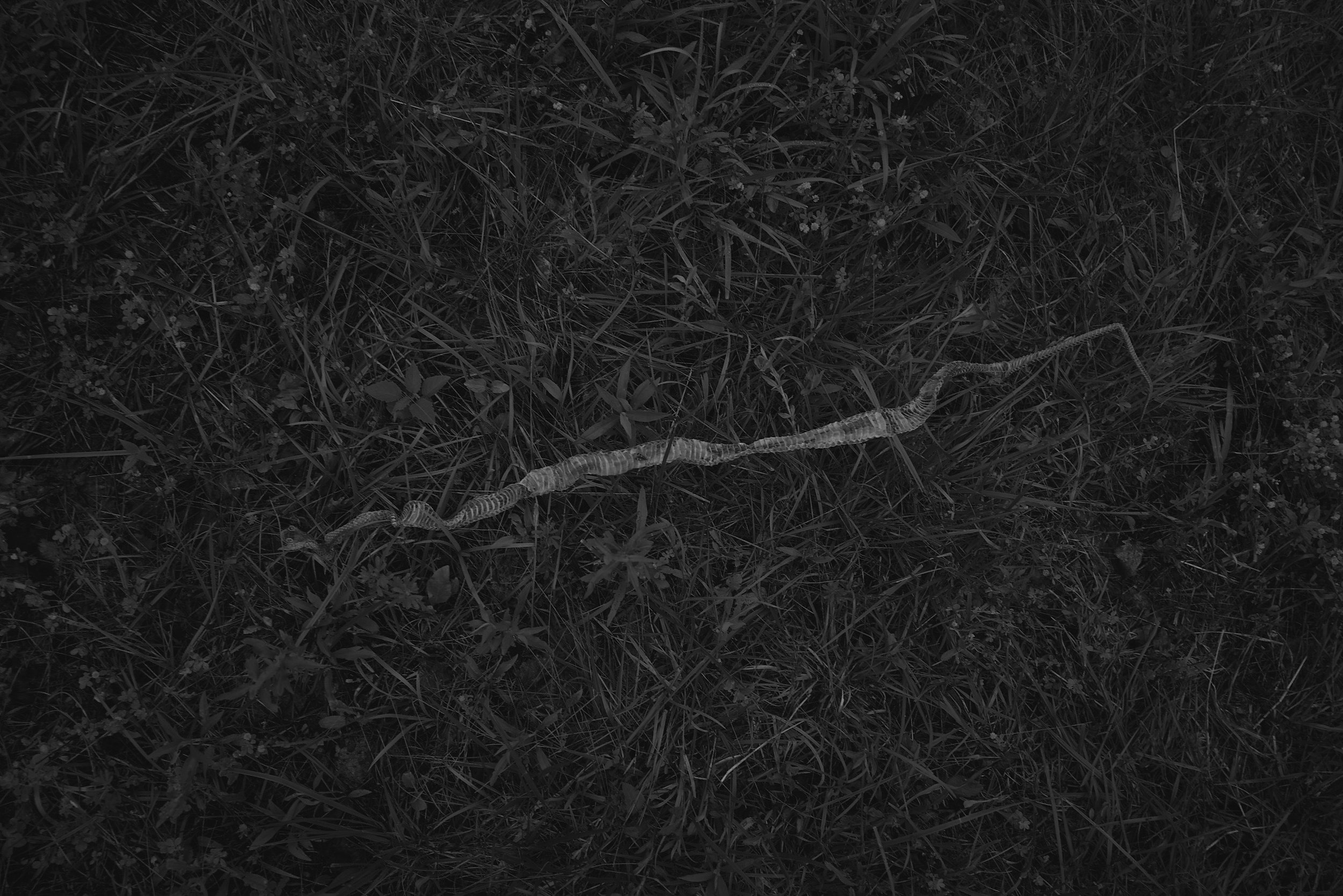 220523_F1110876.JPG