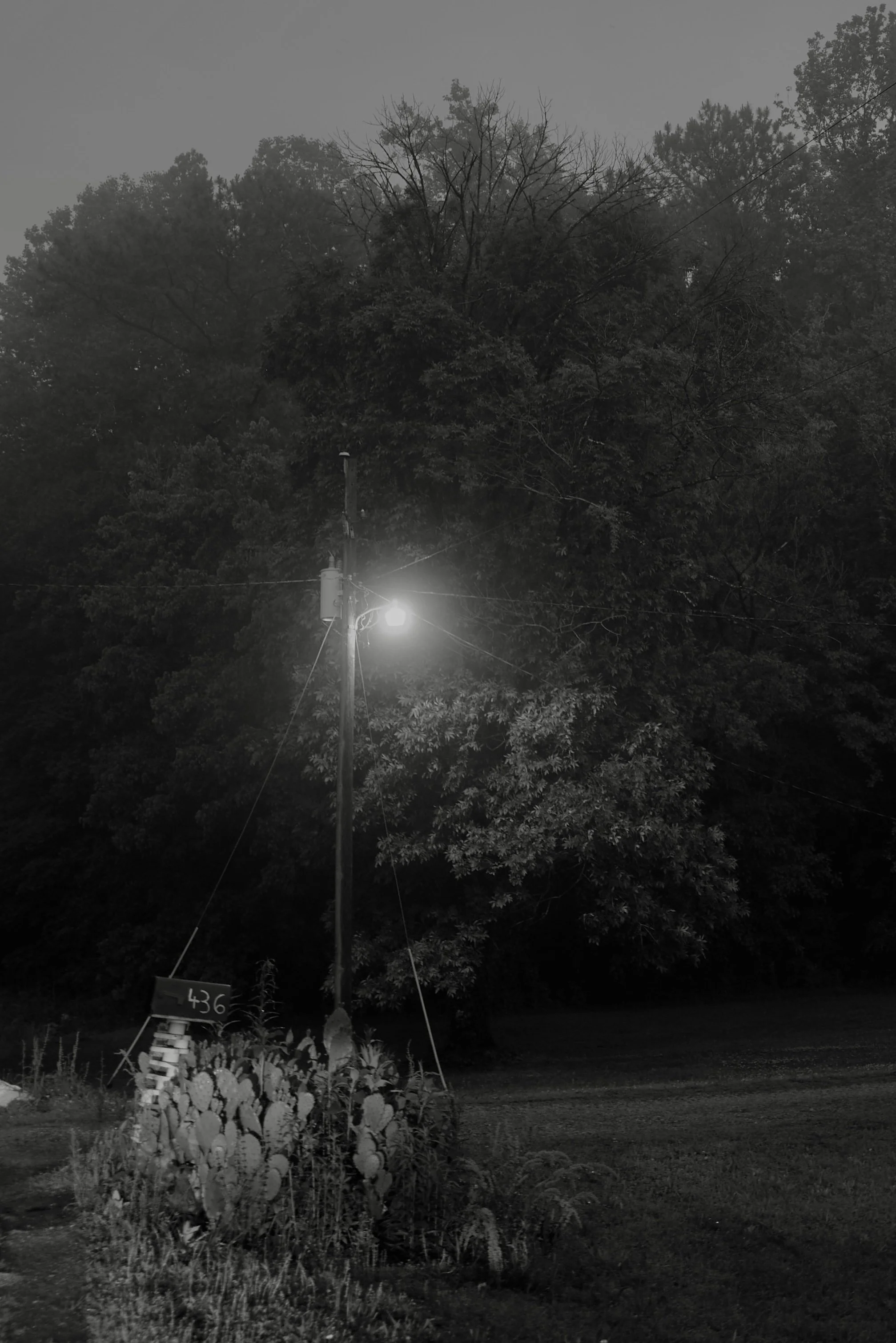230509_L1008769 2.jpg