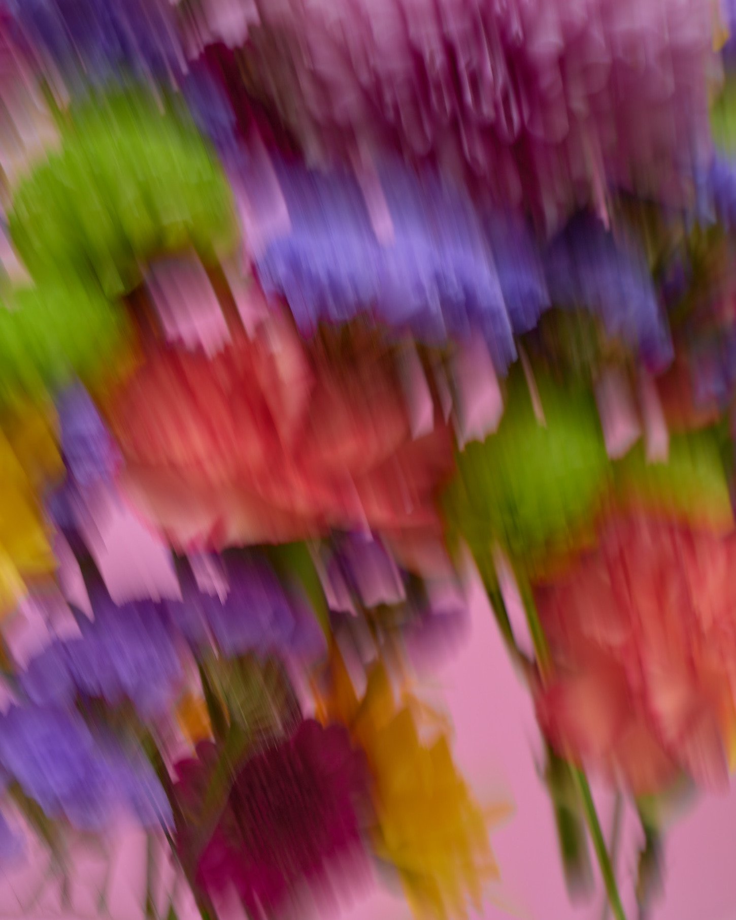 220203_F1080776 2.JPG