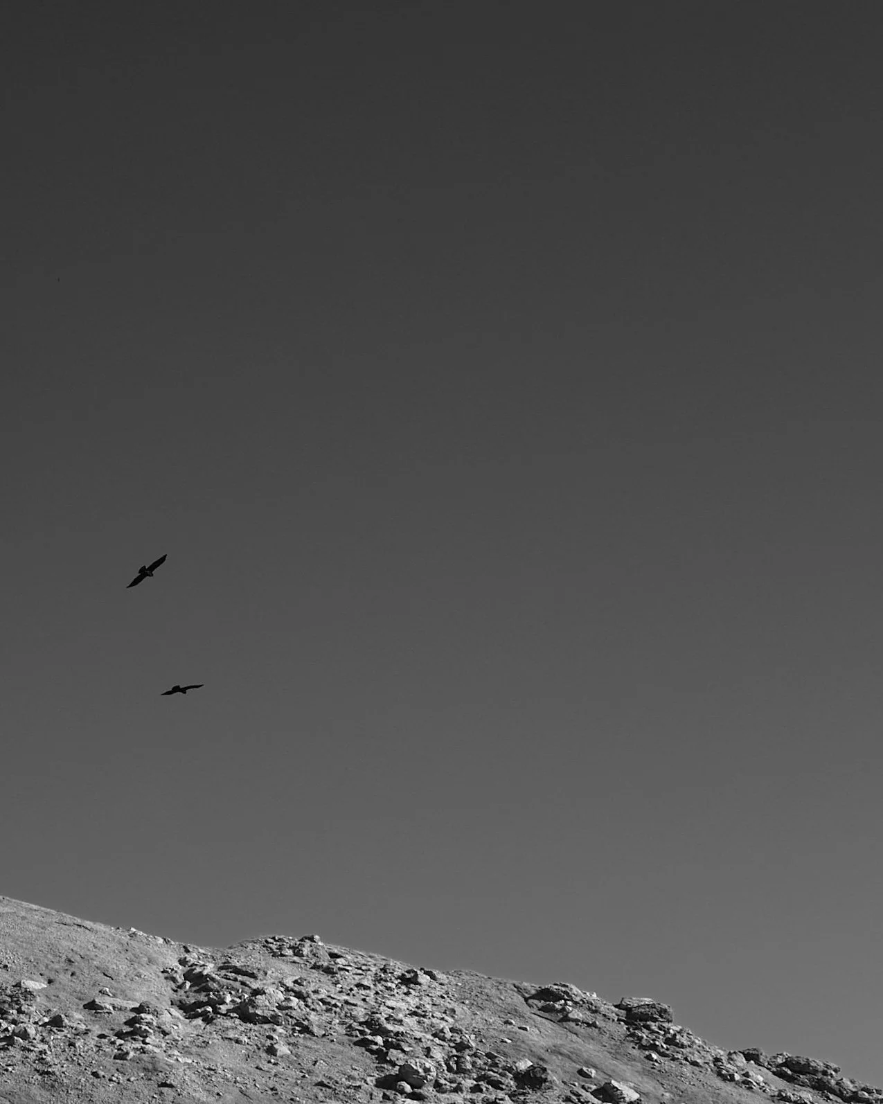 230131_L1005545_LowRes.jpg