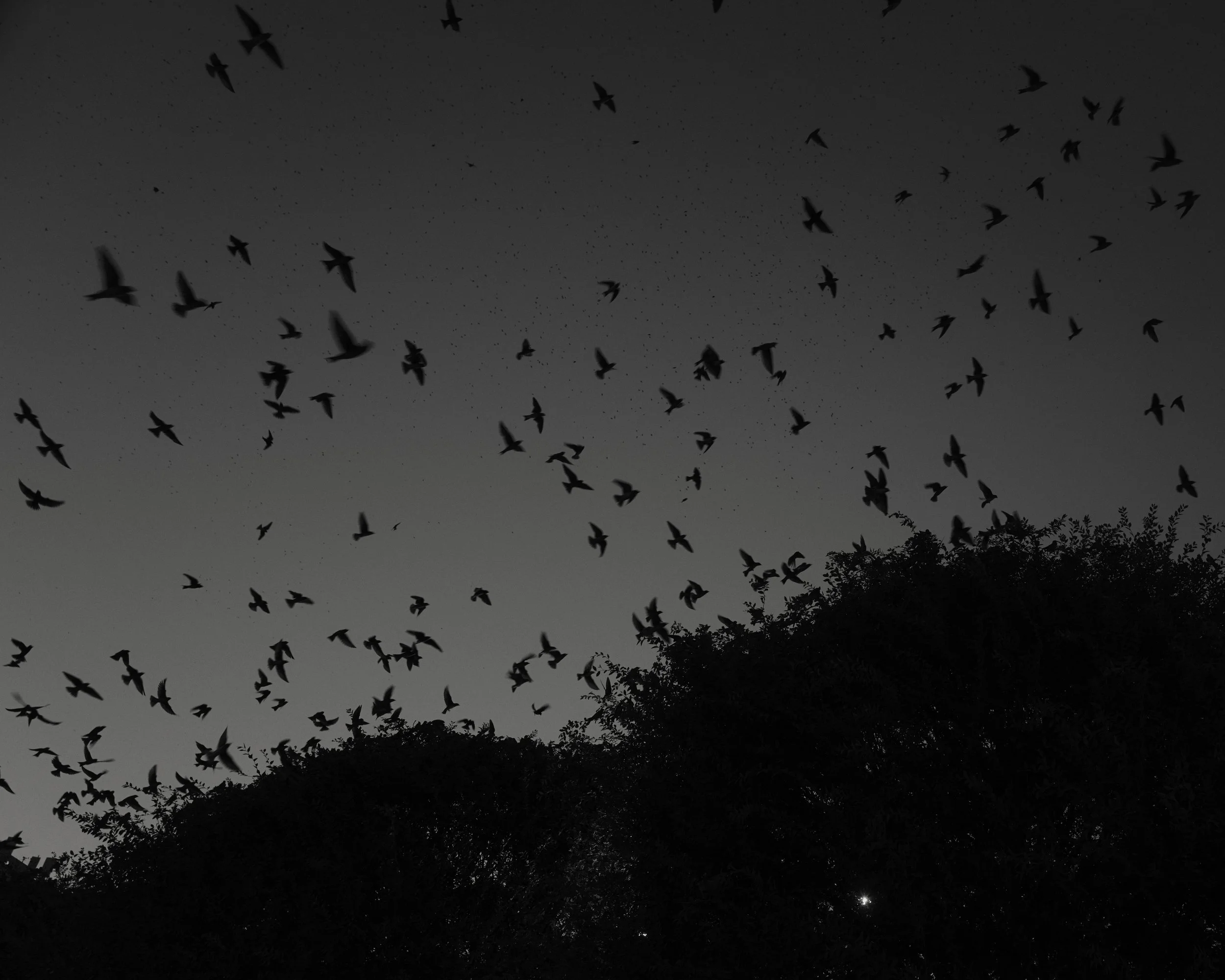 210814_1517 2.JPG