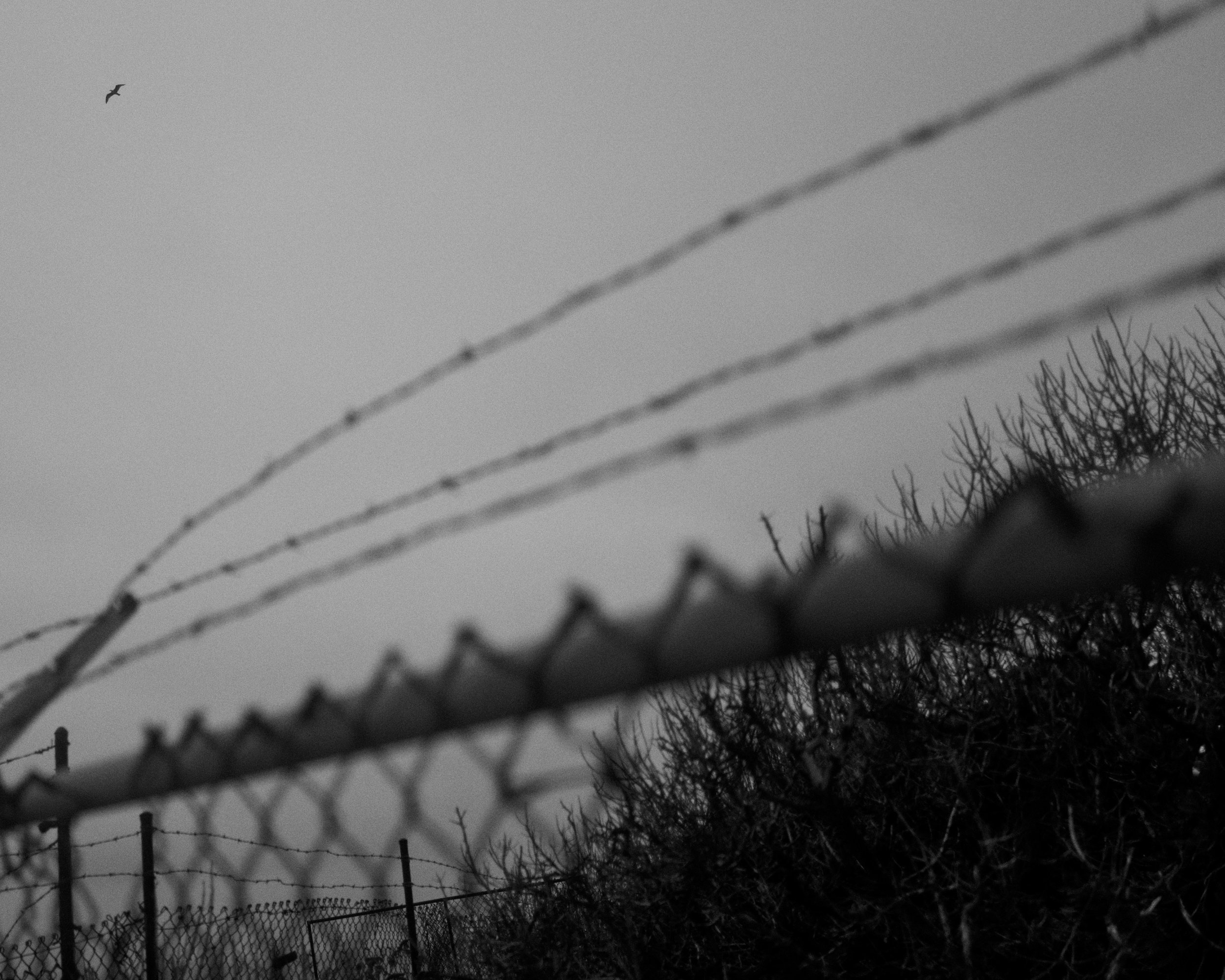 230412_L1007431.jpg