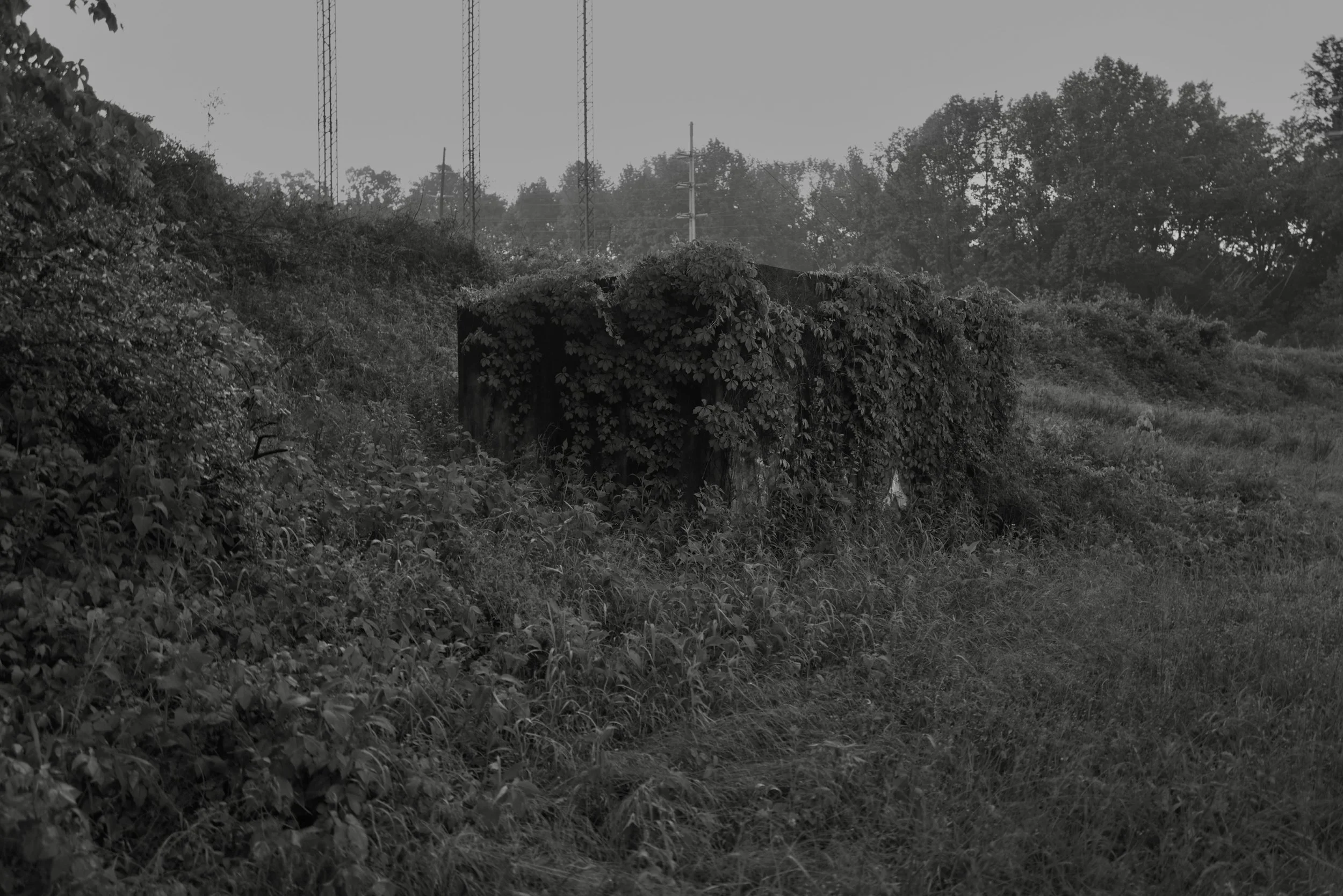 230509_L1008700.jpg