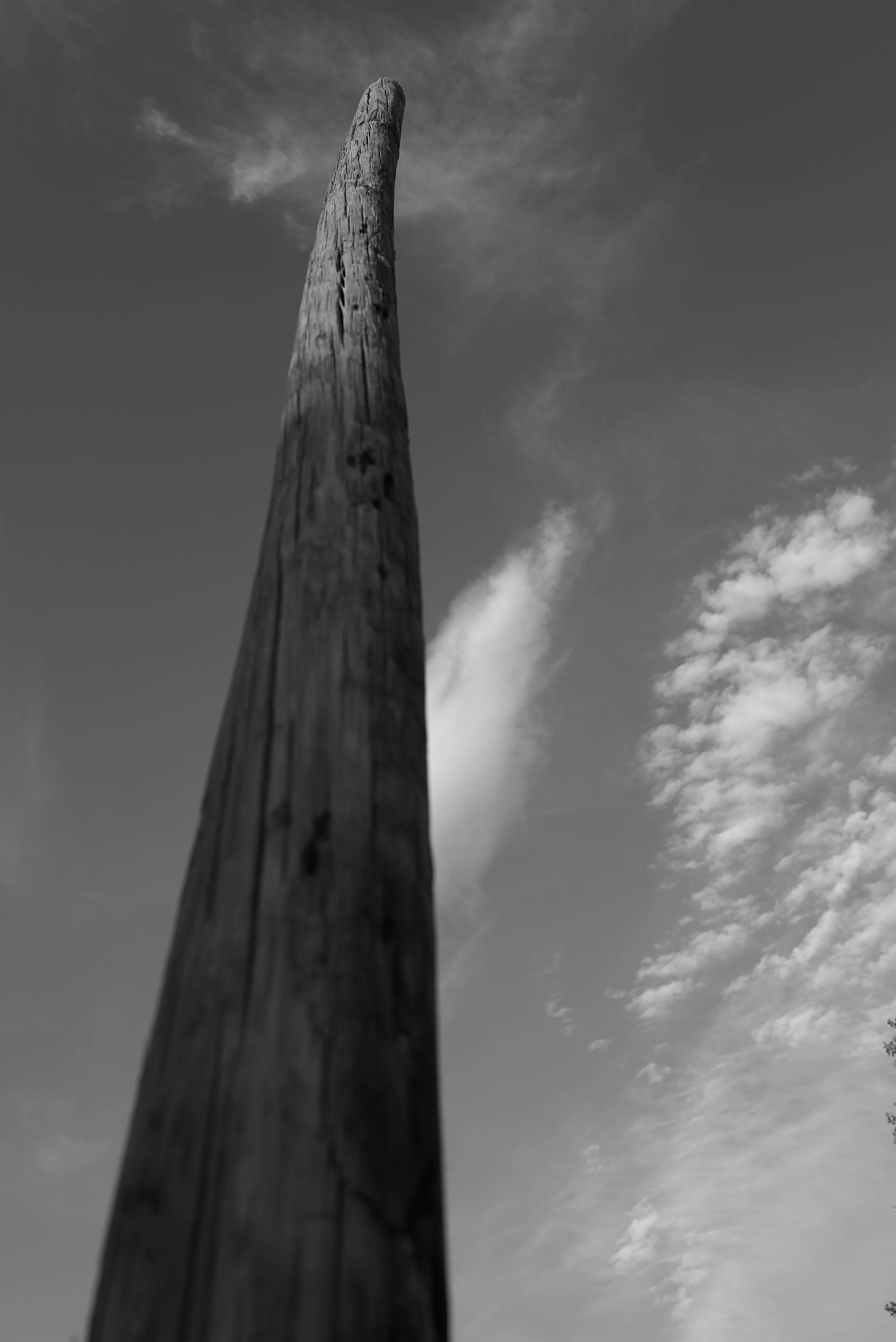 230506_L1008280.jpg