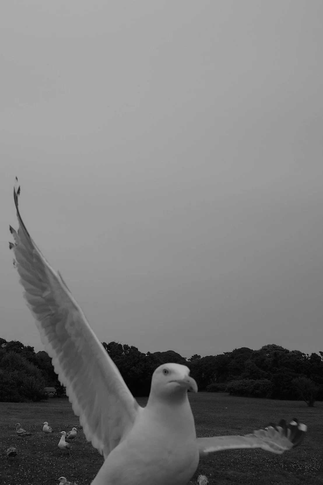 220627_L1000587.JPG