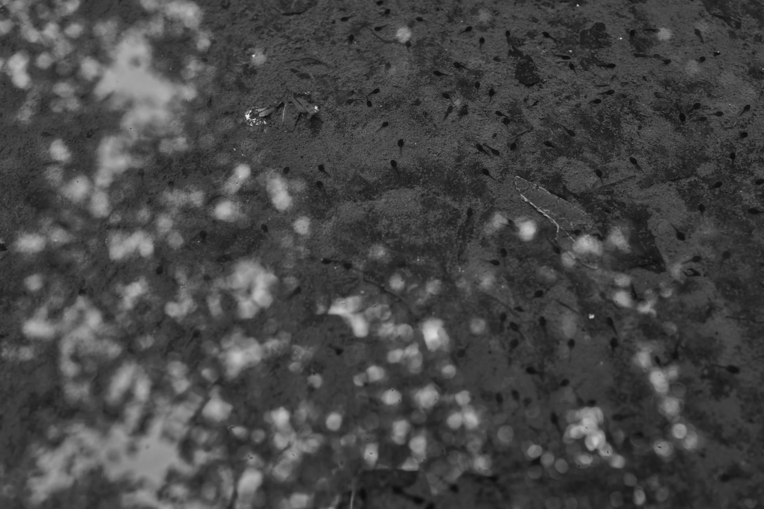 230616_L1009832.JPG