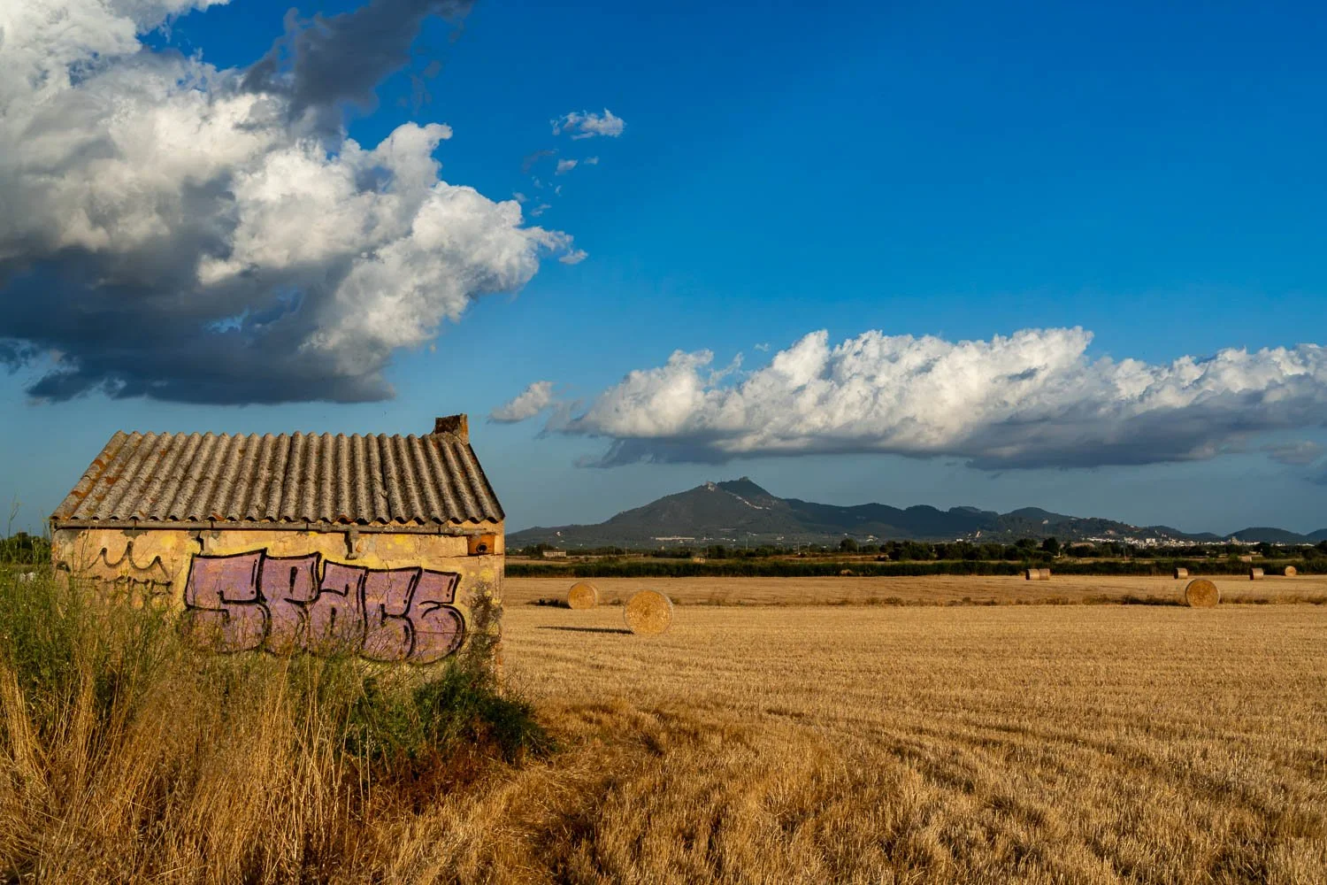 Mallorca, Son Valls with Sant Salvador in the back.