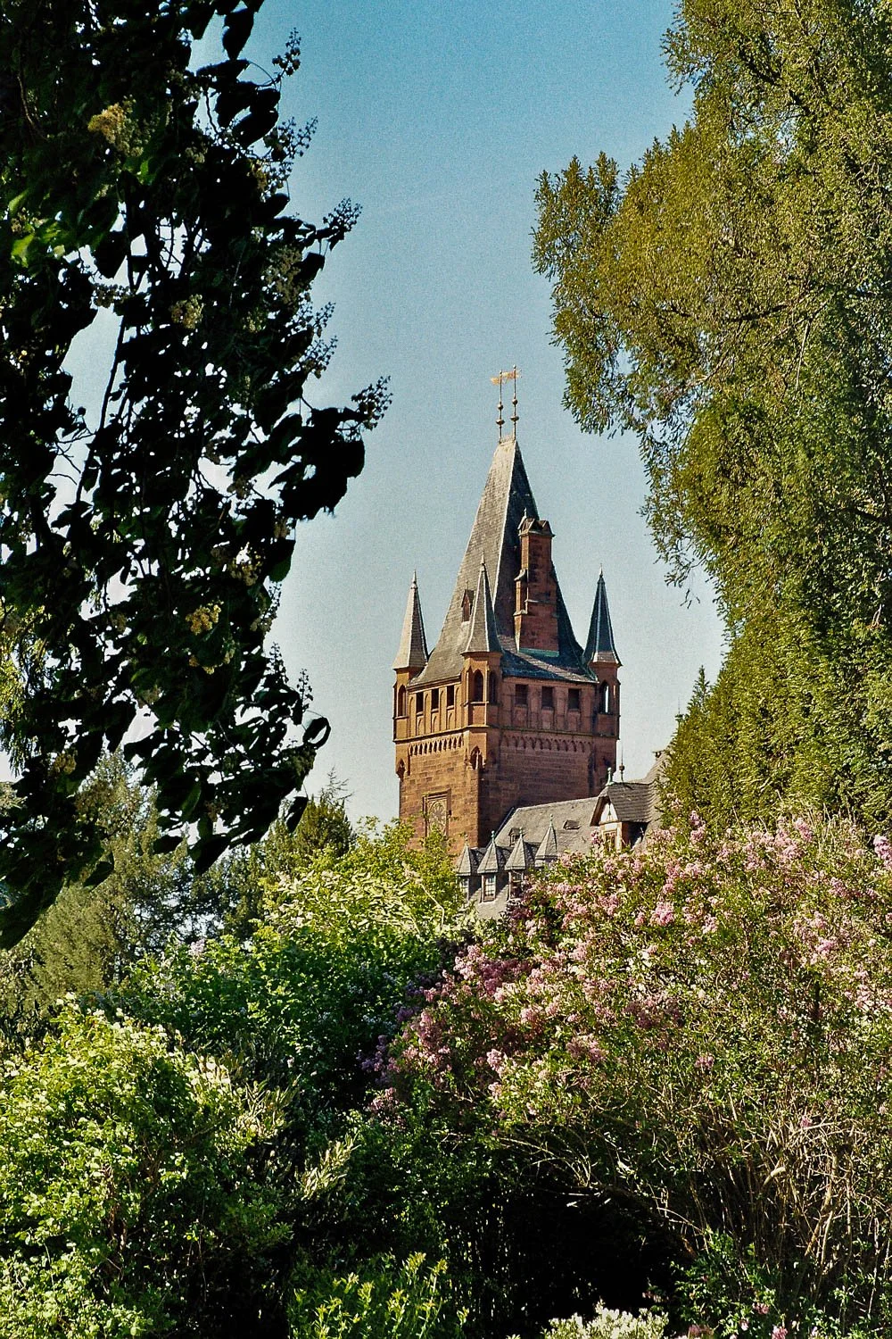 Weinheim, Kodak Gold