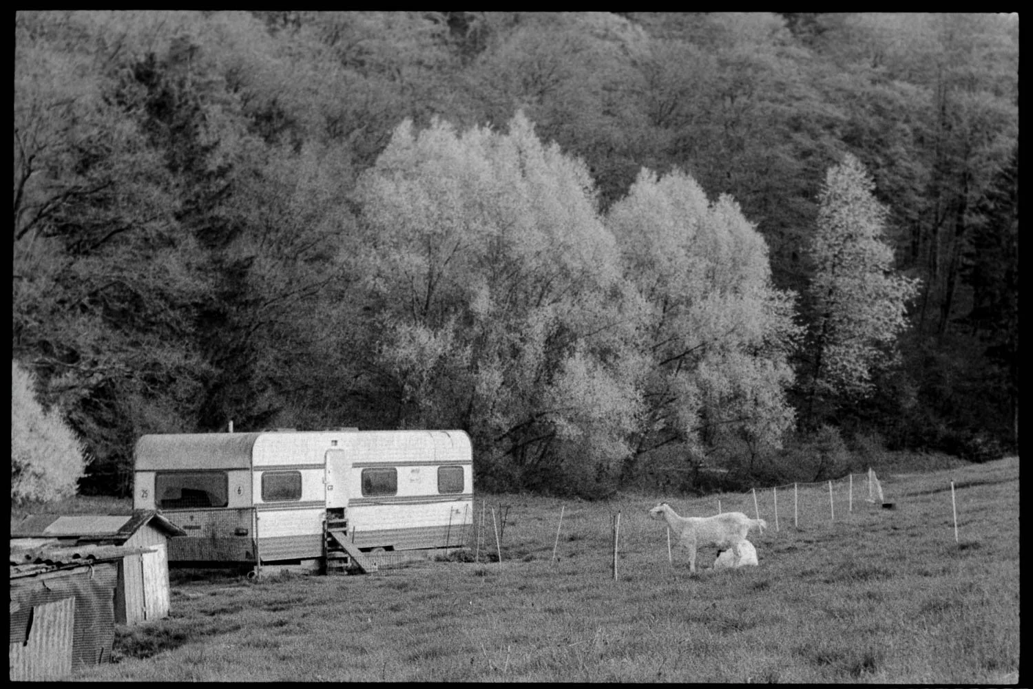 Wetzlar, Kodak T-MAX P3200