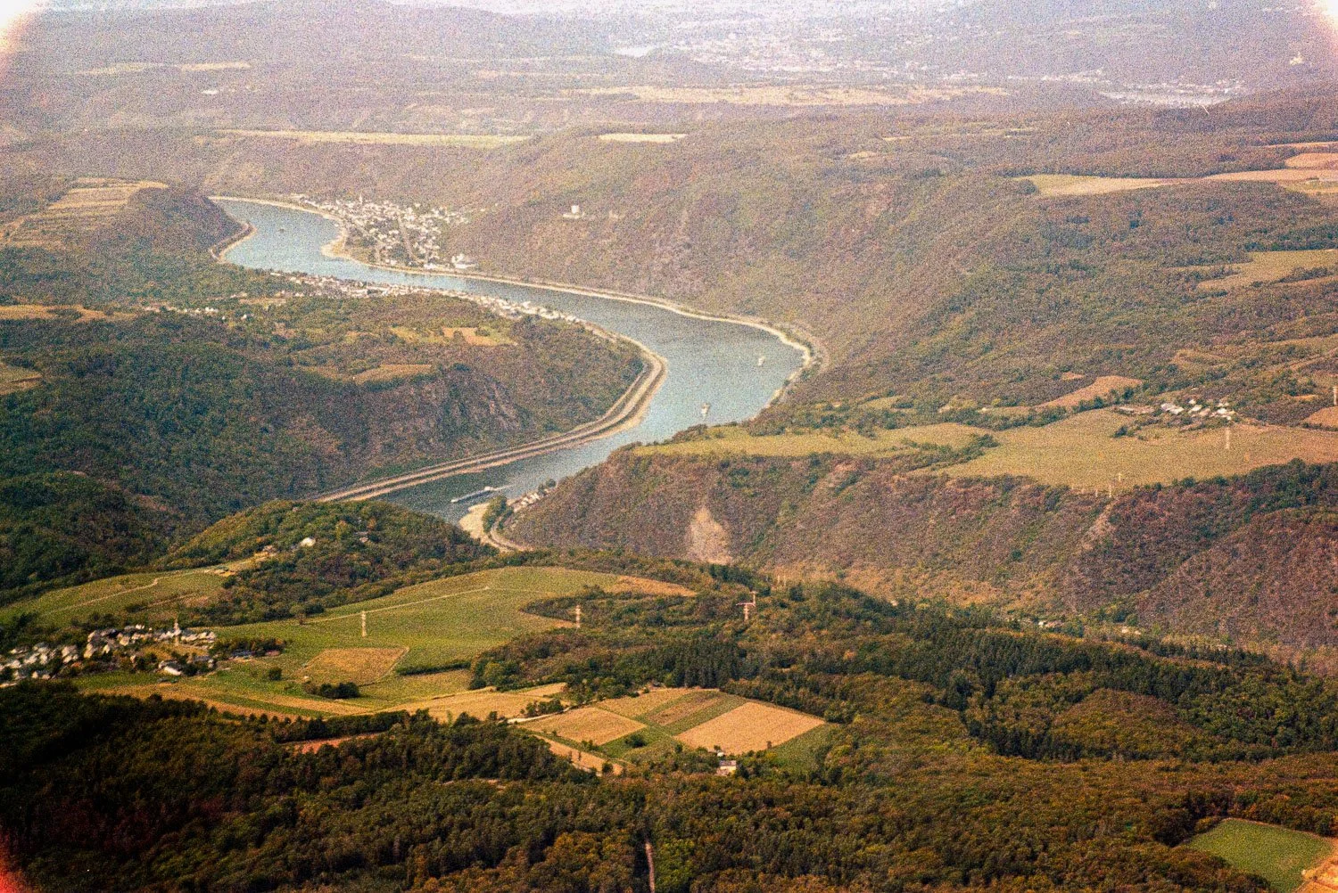 Rhine, Lucky Color 200