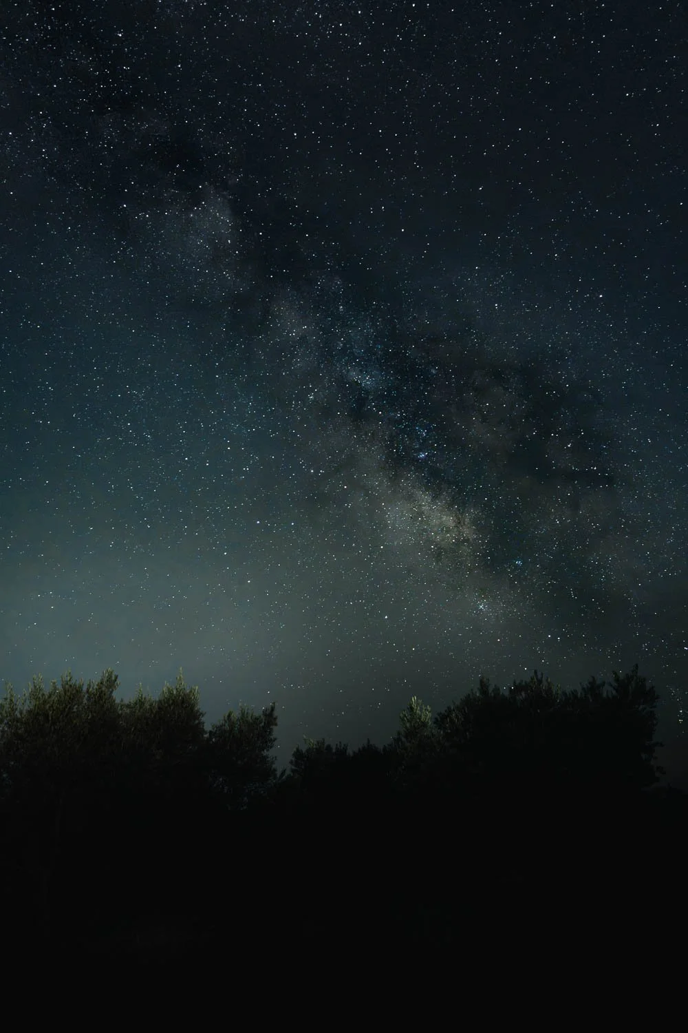 Mallorca, Son Valls, Milky Way over olive trees.