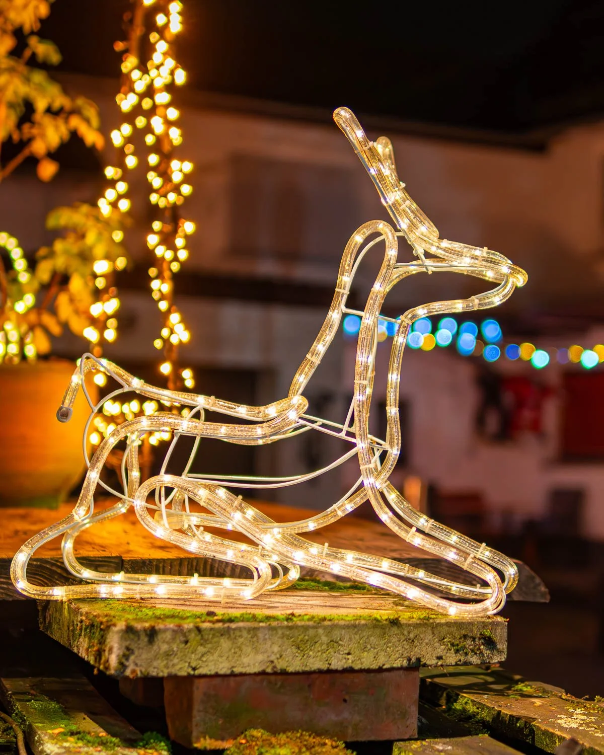 Christmas lights.
