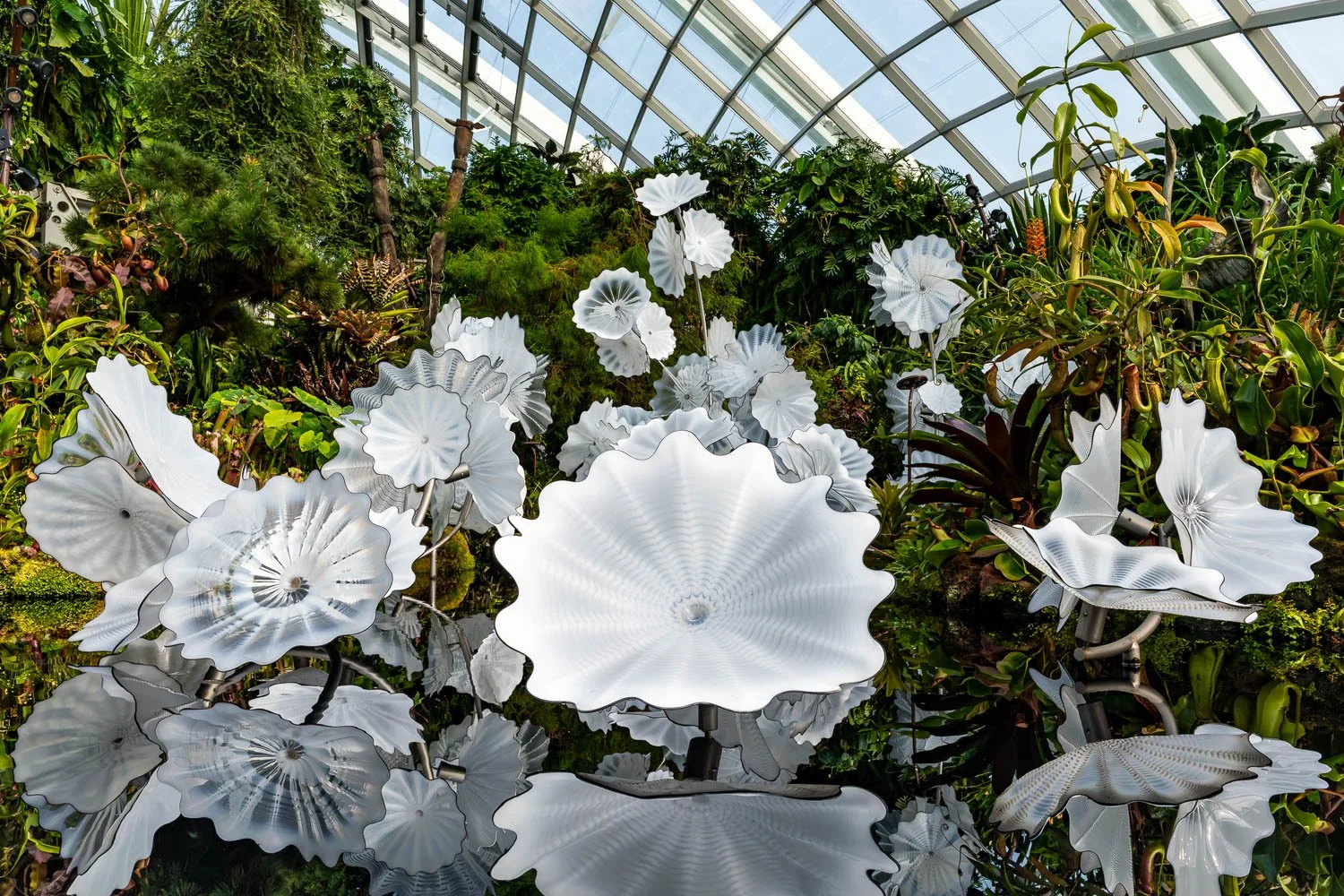 Singapore, Marina Bay Gardens.
