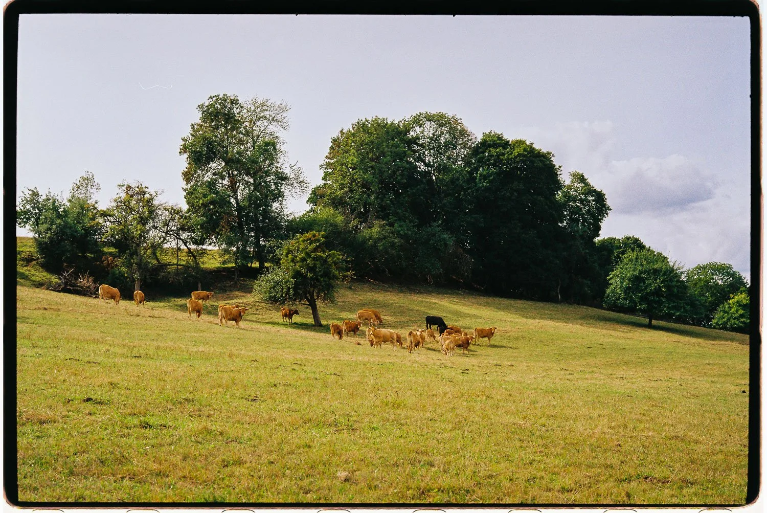Leun, Kodak Color Plus 200