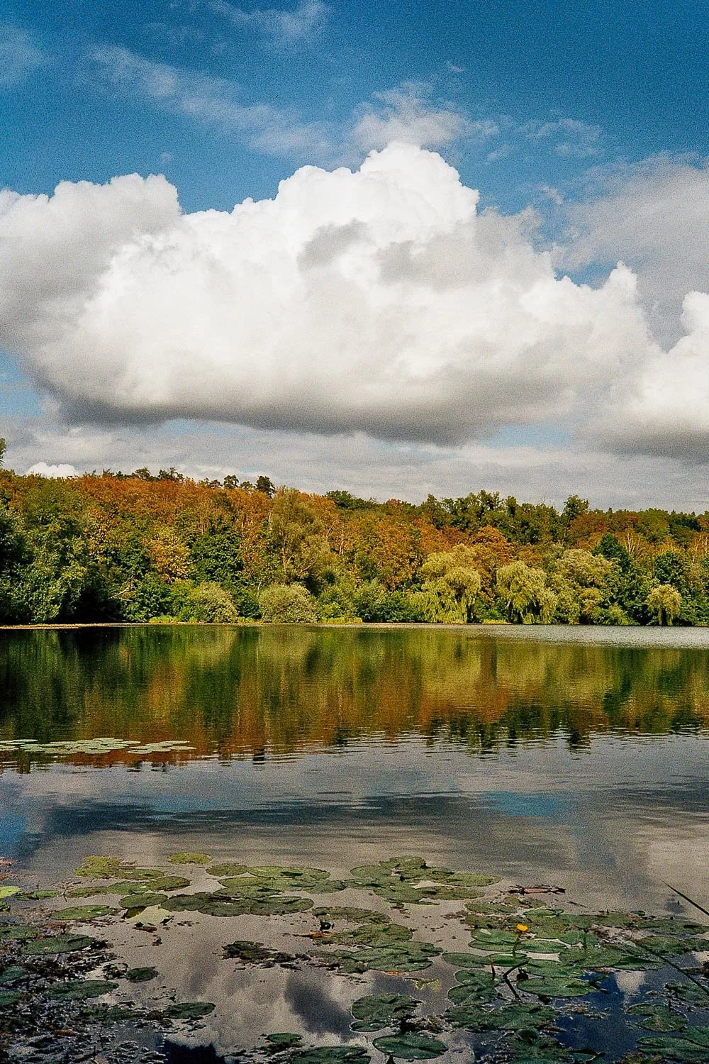 Grube Fernie, Großen-Linden, Olympus Mju 1, Kodak Gold