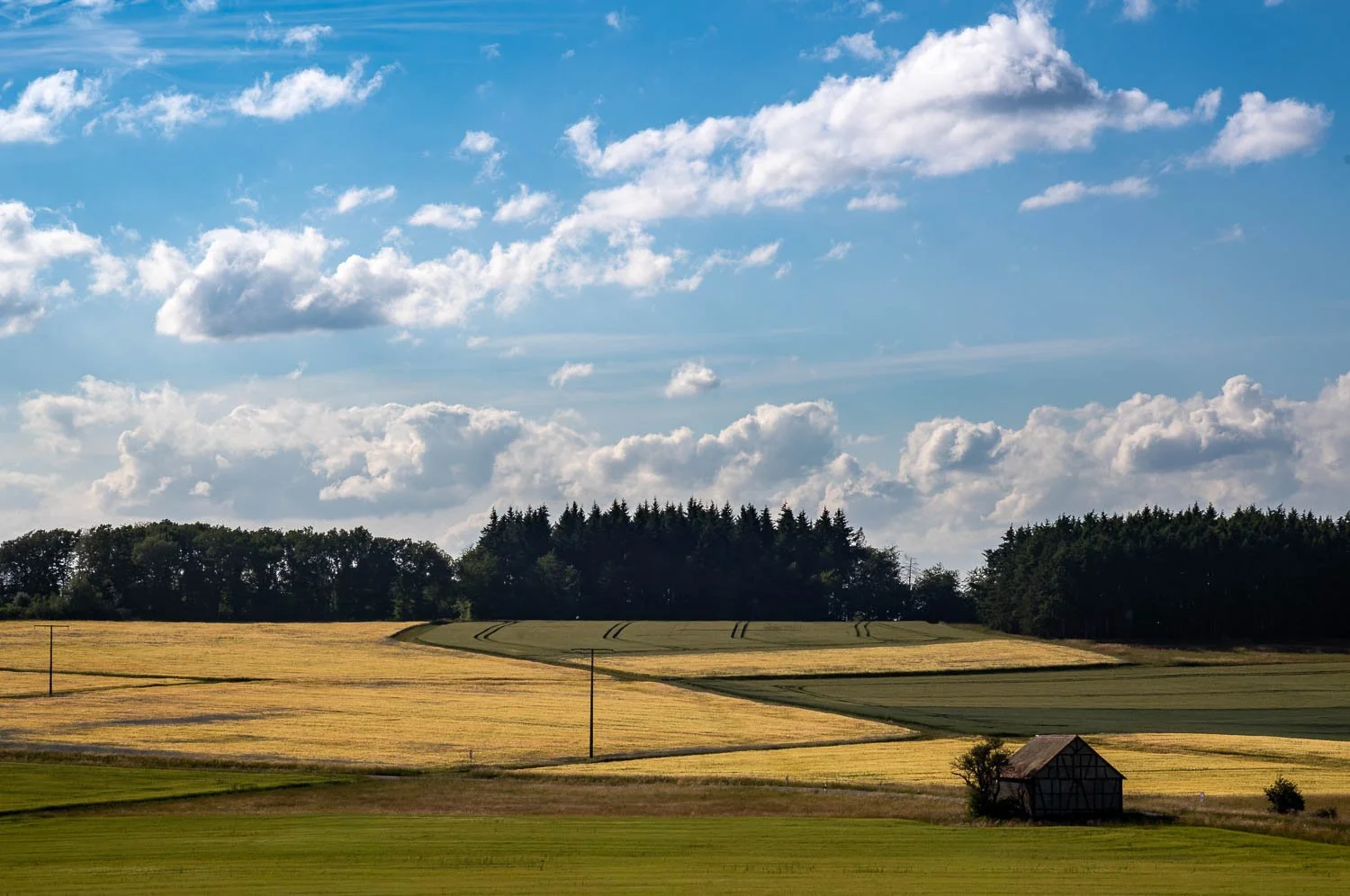Merzhausen, agri landscape.