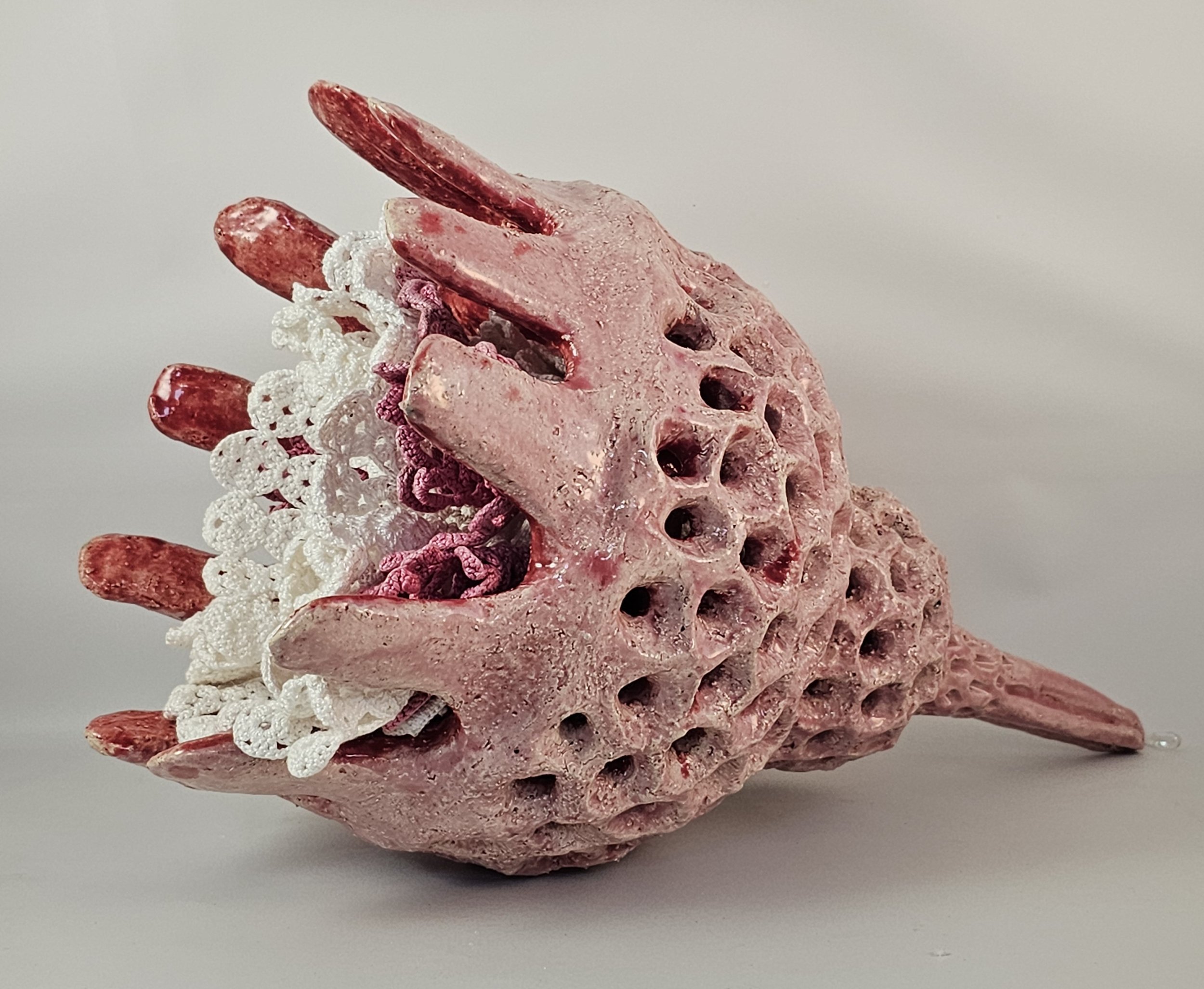 zooplankton
