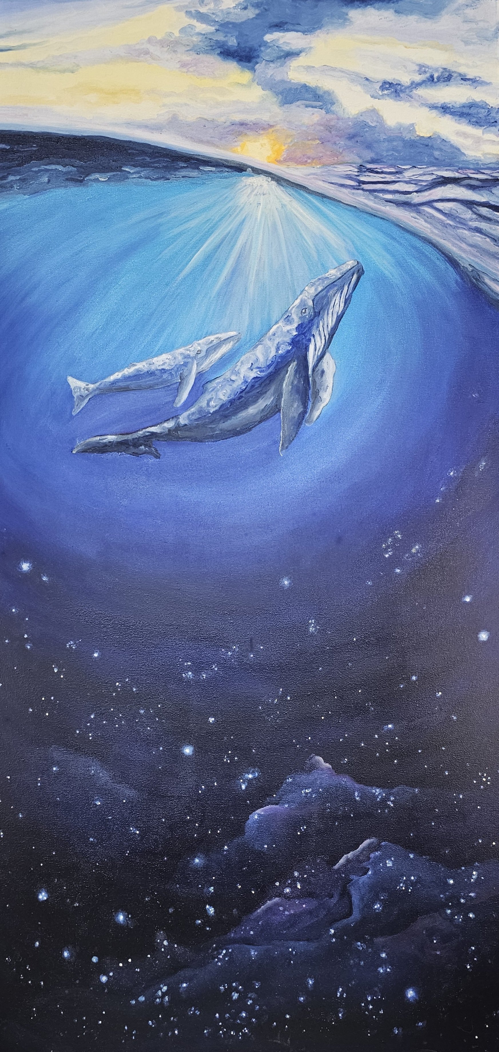 whale cosmos