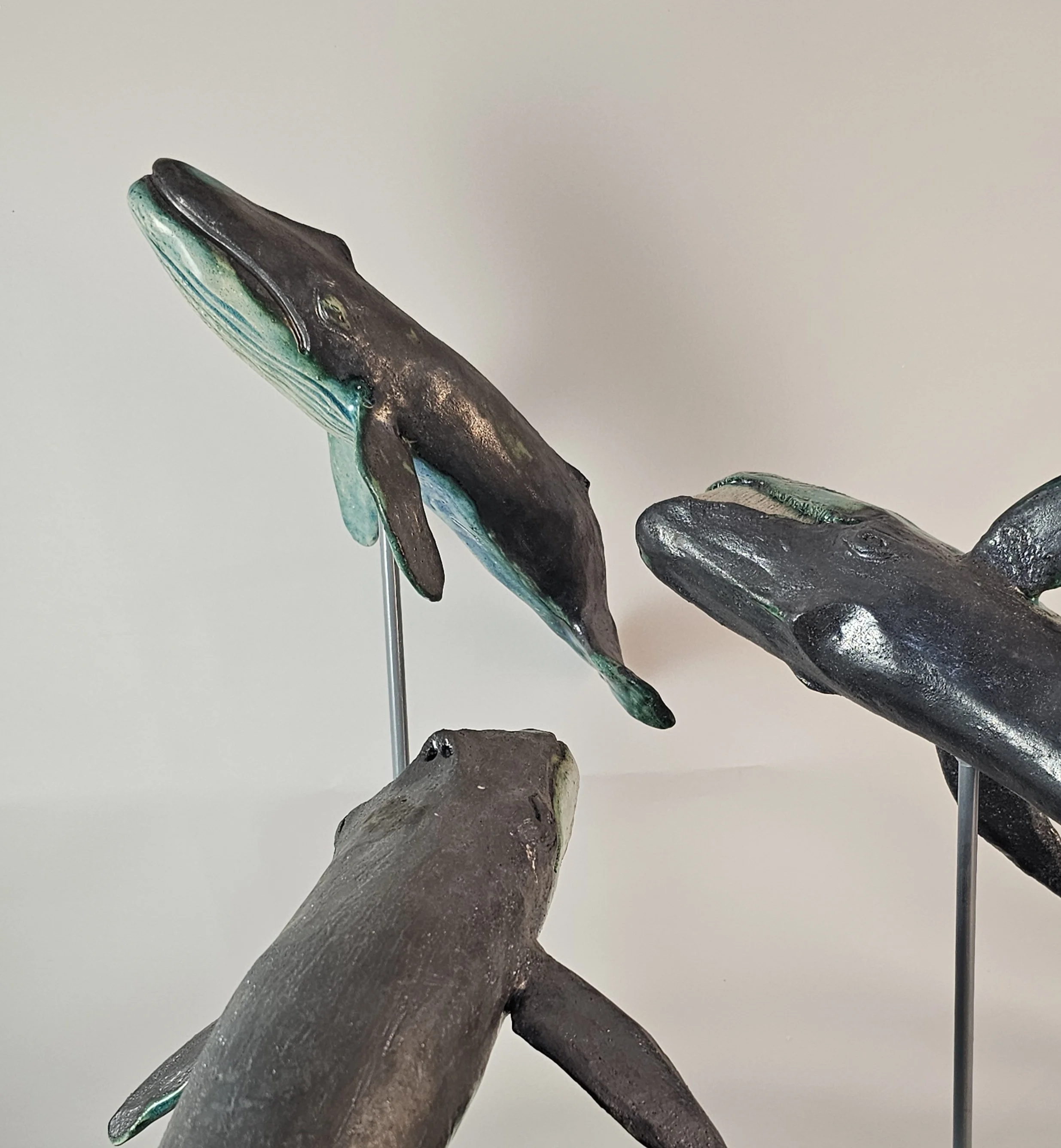 detail whales