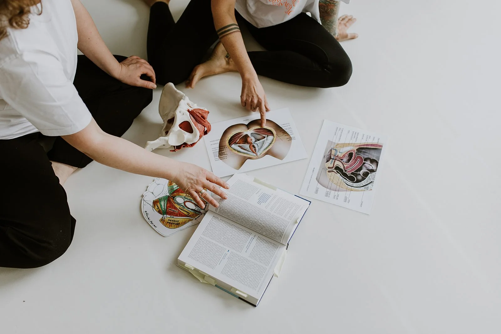 Zwei Menschen sitzen auf dem Boden und diskutieren über Anatomie, mit anatomischen Diagrammen und Modellen, darunter eine menschliche Schädel- und Beckenfigur sowie anatomische Zeichnungen.