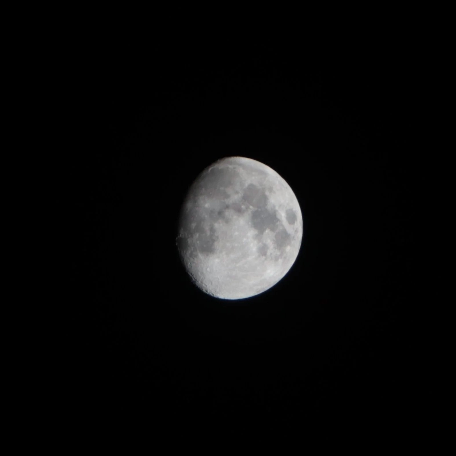 IMG_3451.jpg