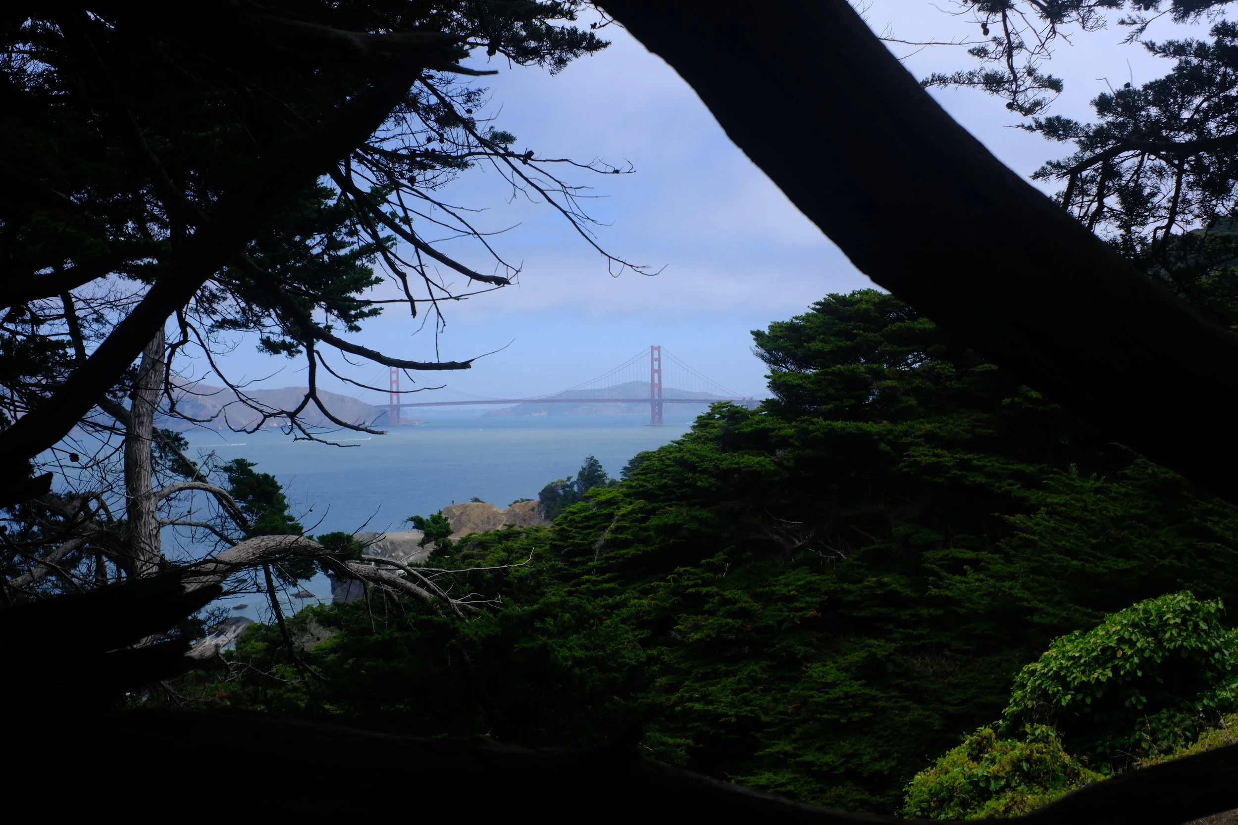 DSCF4750.JPG