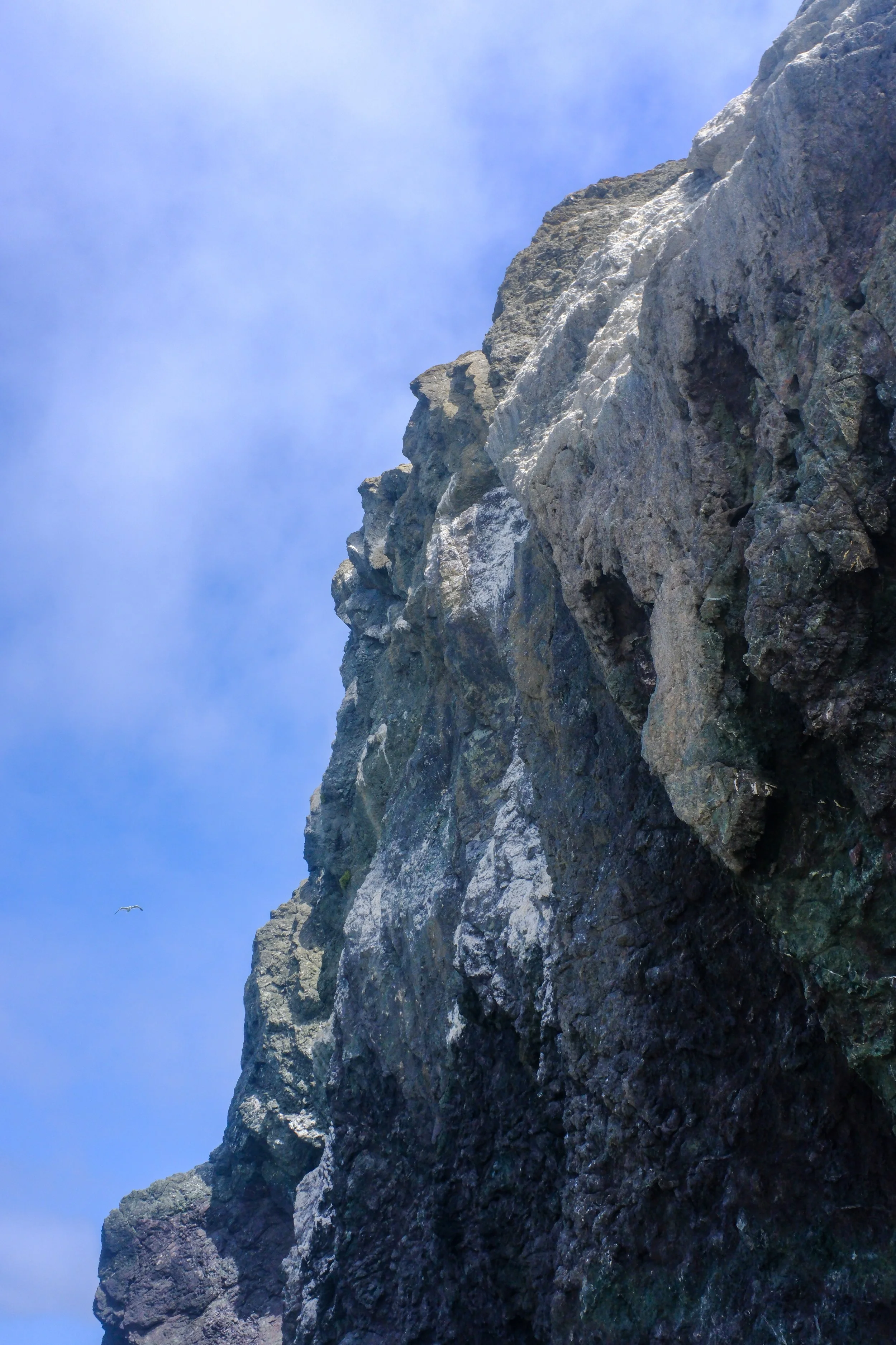 DSCF4780-2.jpg