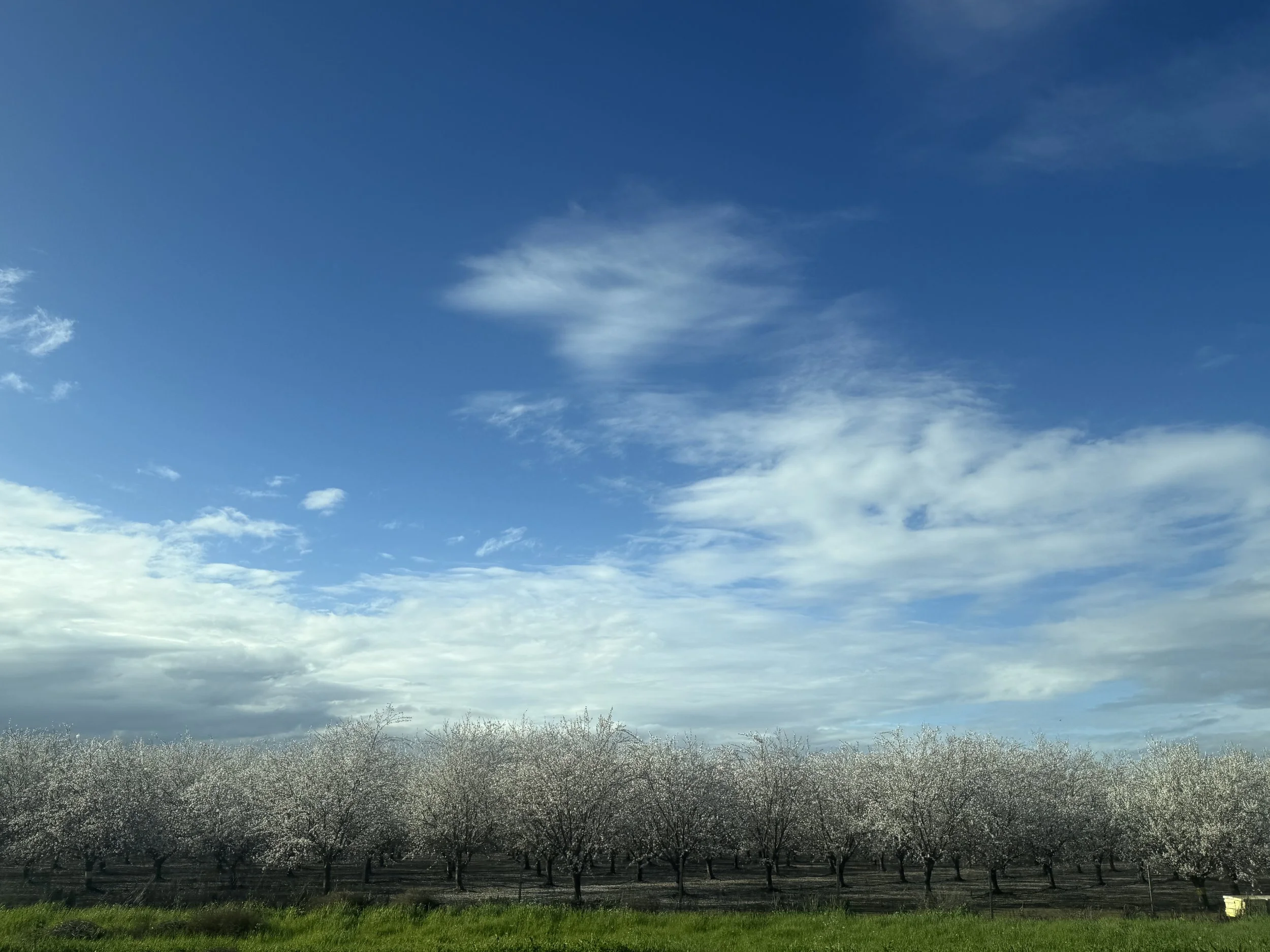 IMG_1764.jpeg