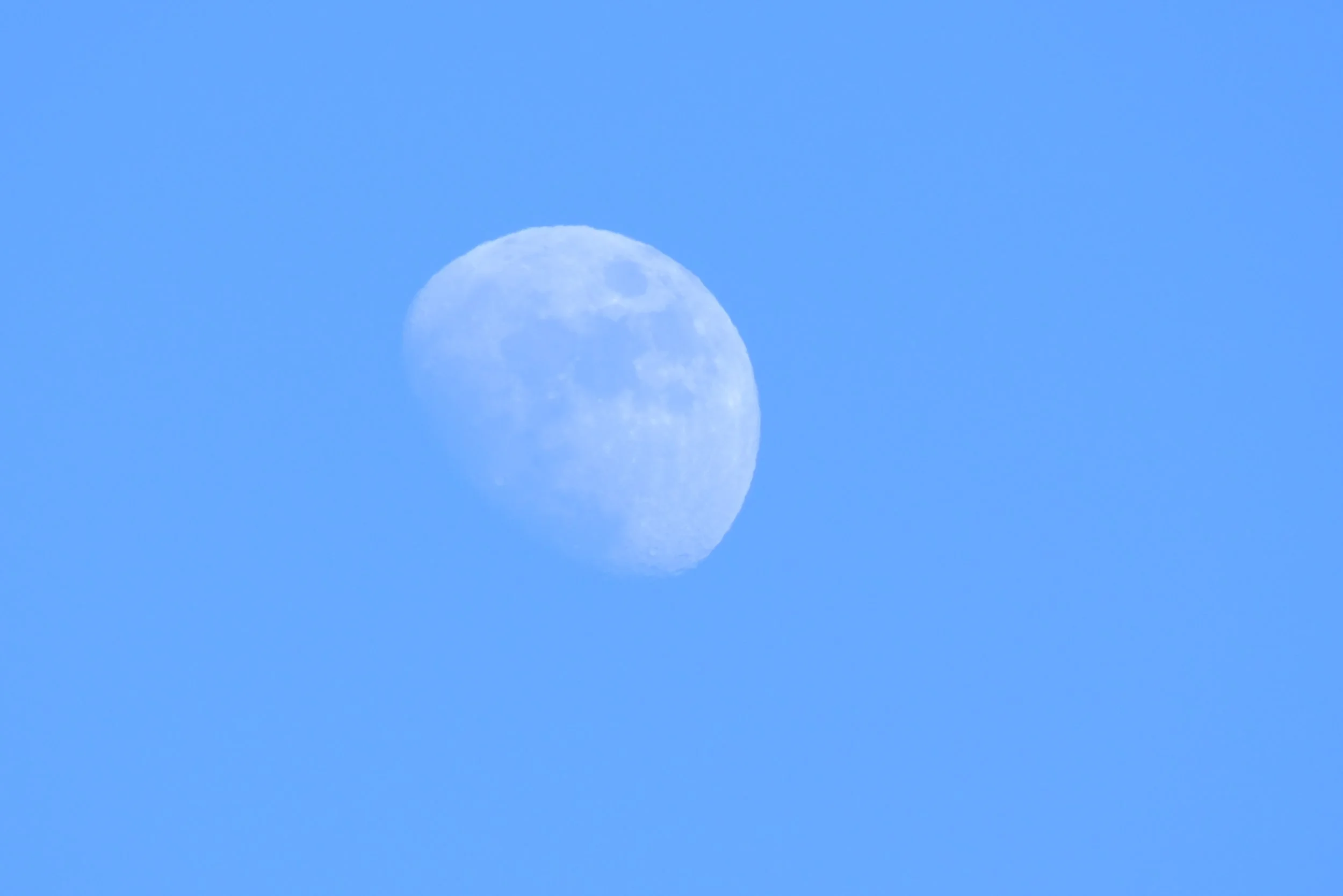 DSCF0450.JPG
