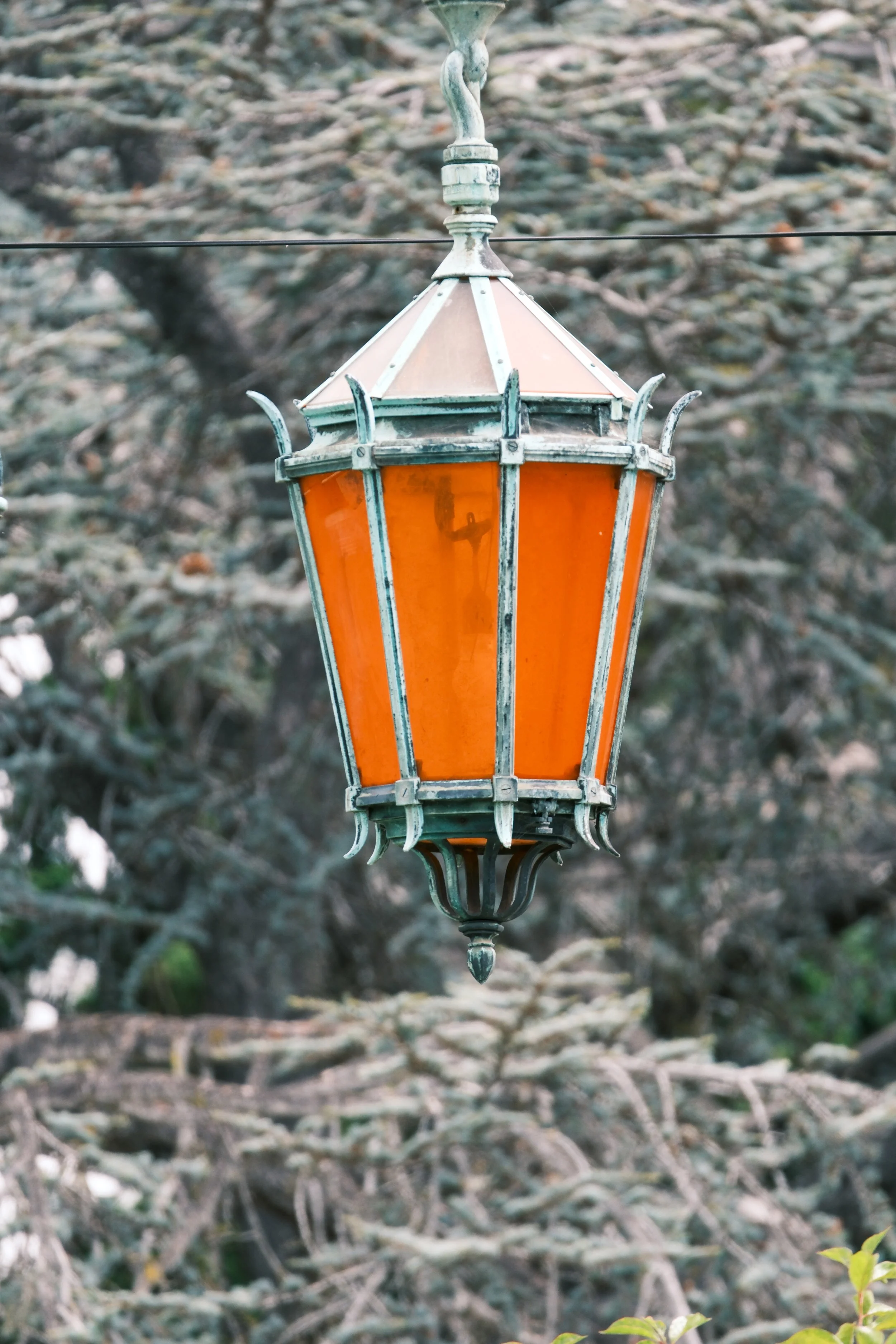 DSCF4218-2.jpg