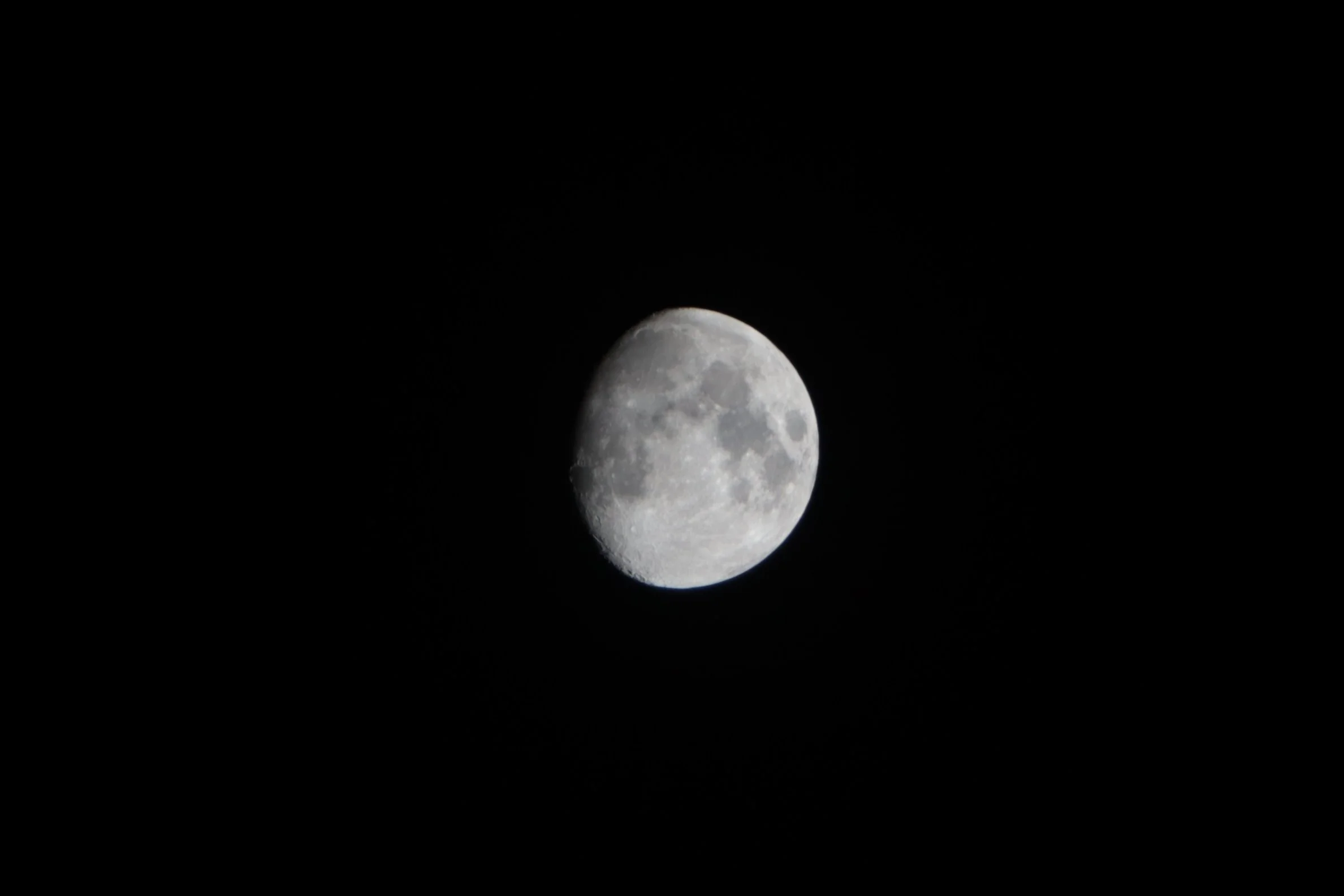 IMG_3451.jpeg